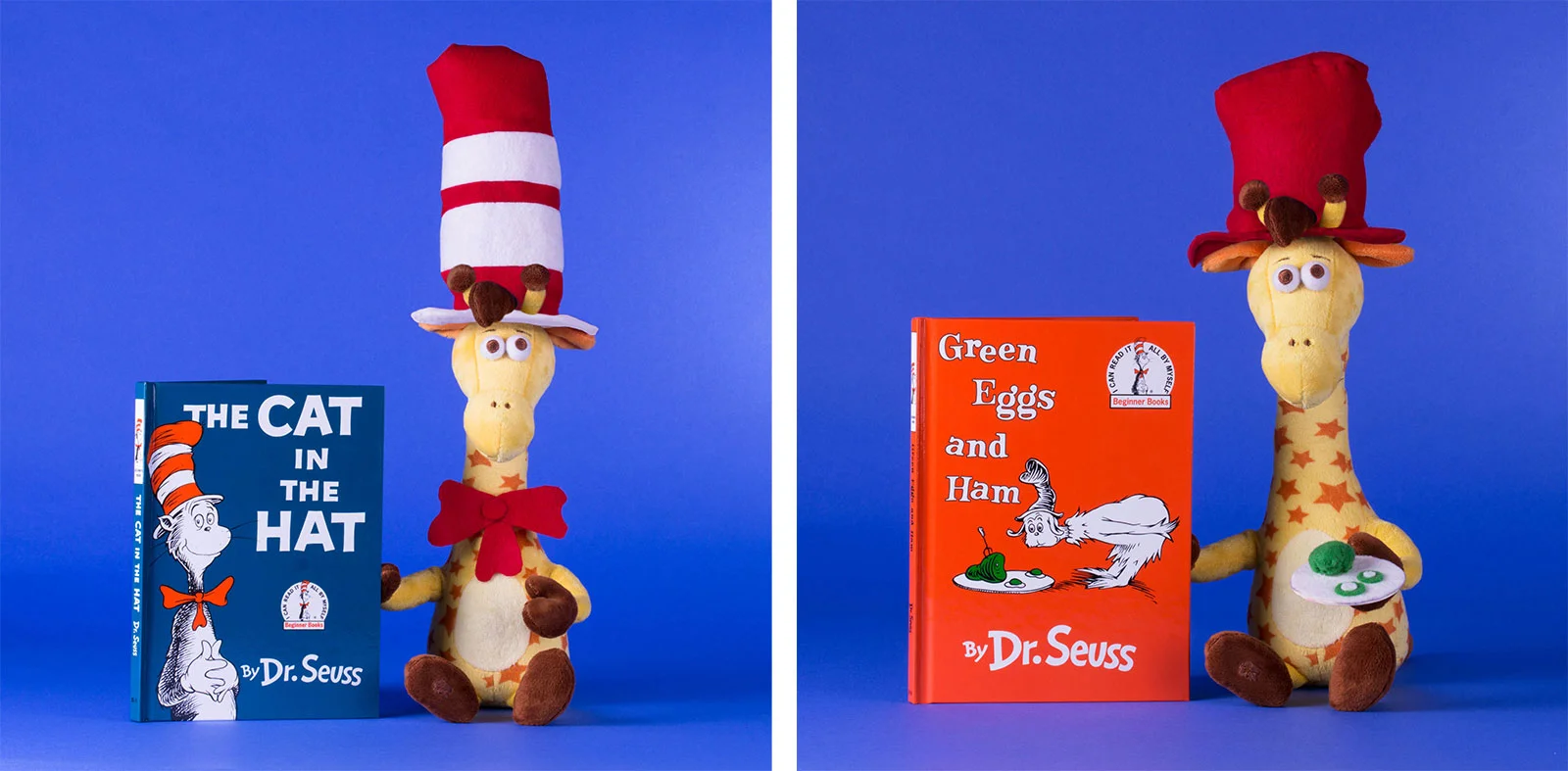 Dr. Seuss Day/Read Across America