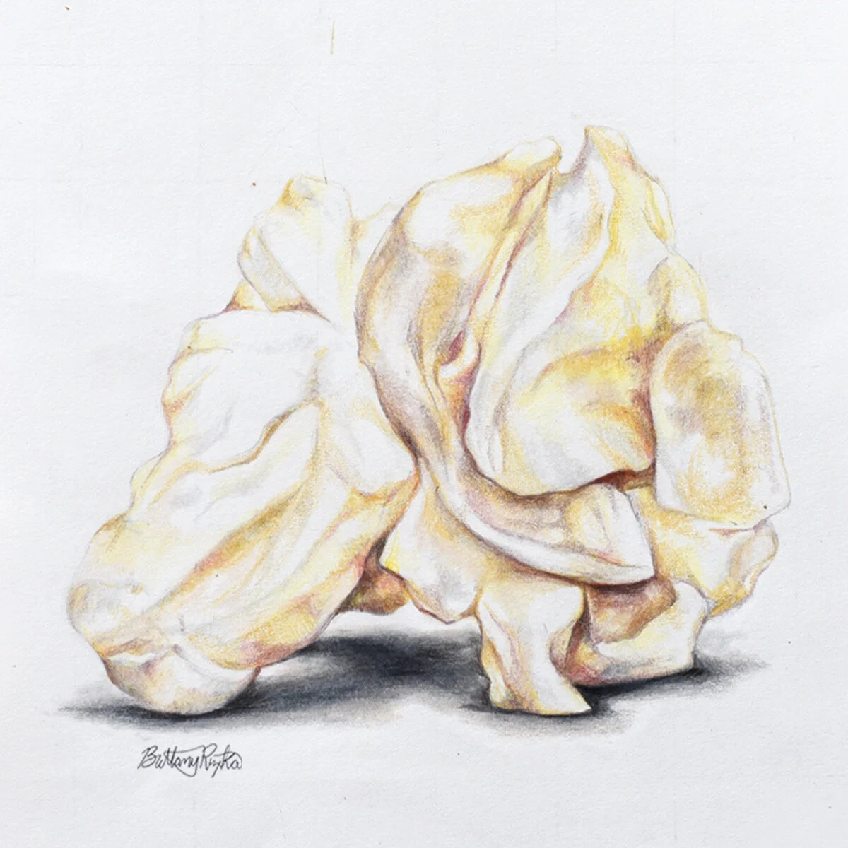  Illustration created to be featured in a Pop Secret social post in 2018.  