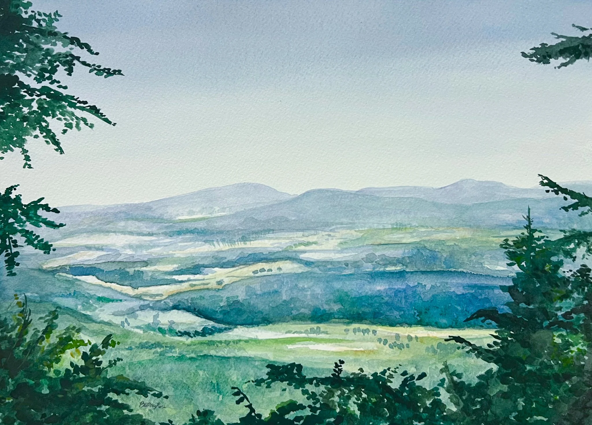  Watercolor painting from an image I shot while in Tuscany, Italy. 