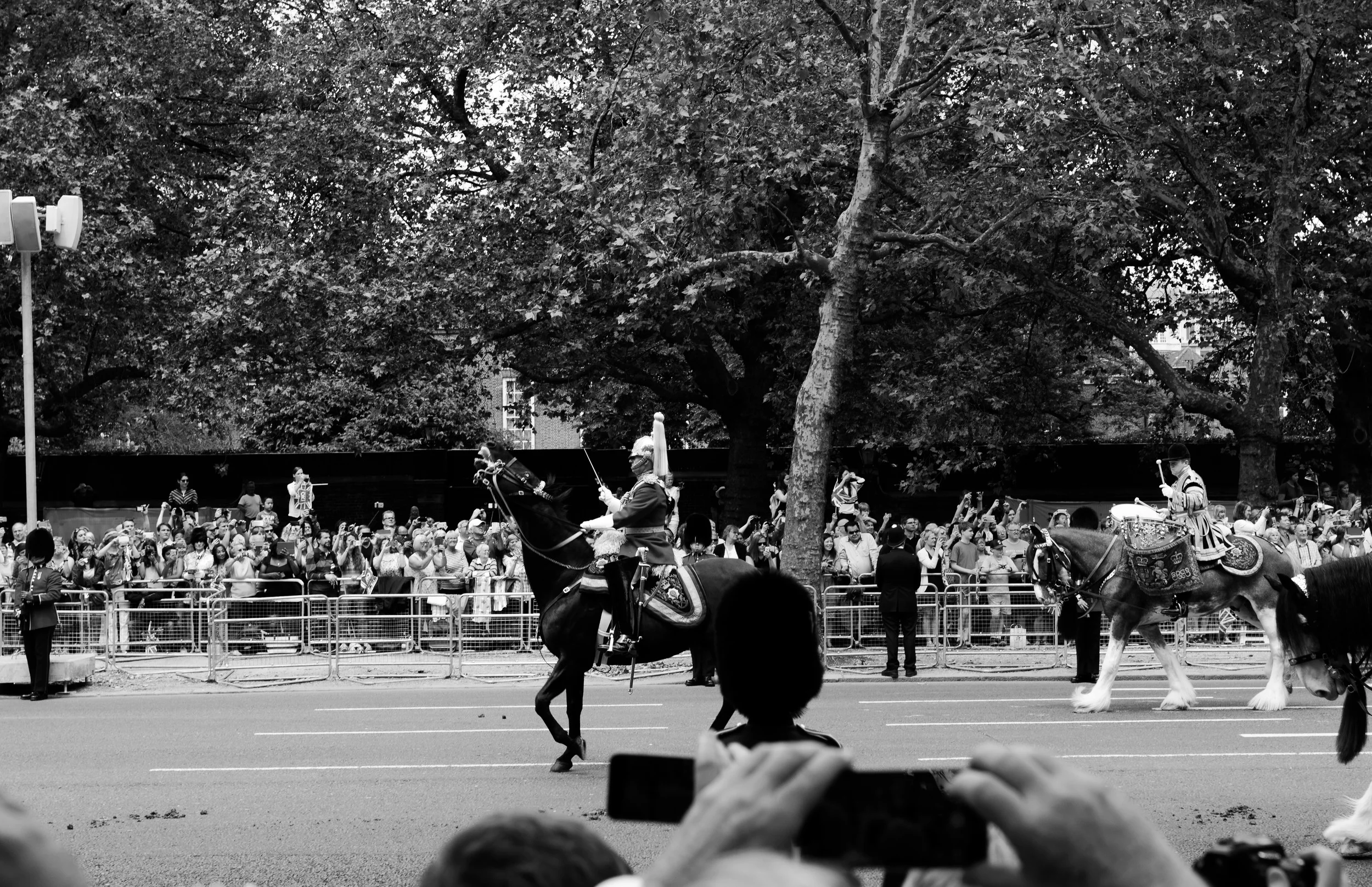 IMG_3369-2.jpg