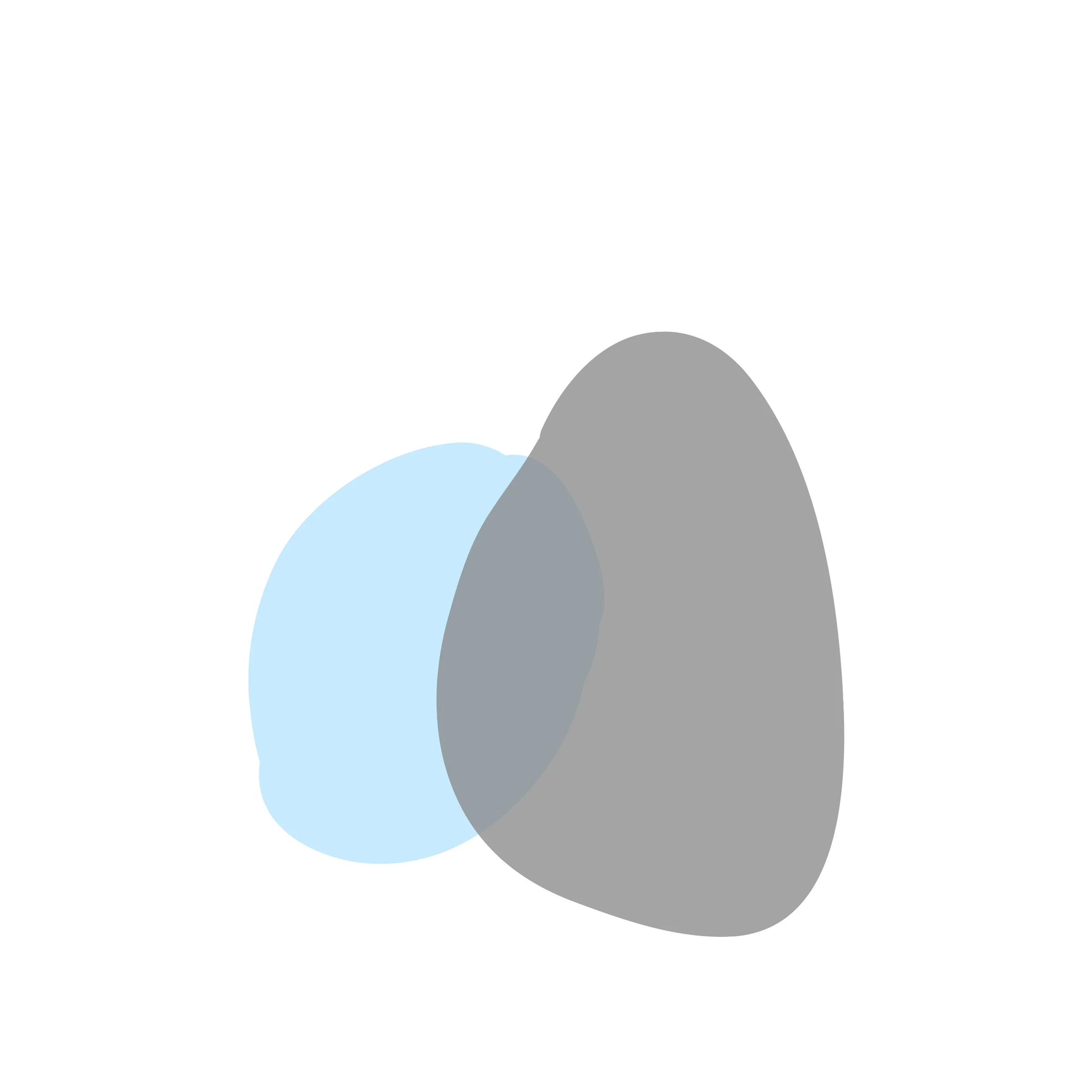 p2-shapes-banner01d.jpg