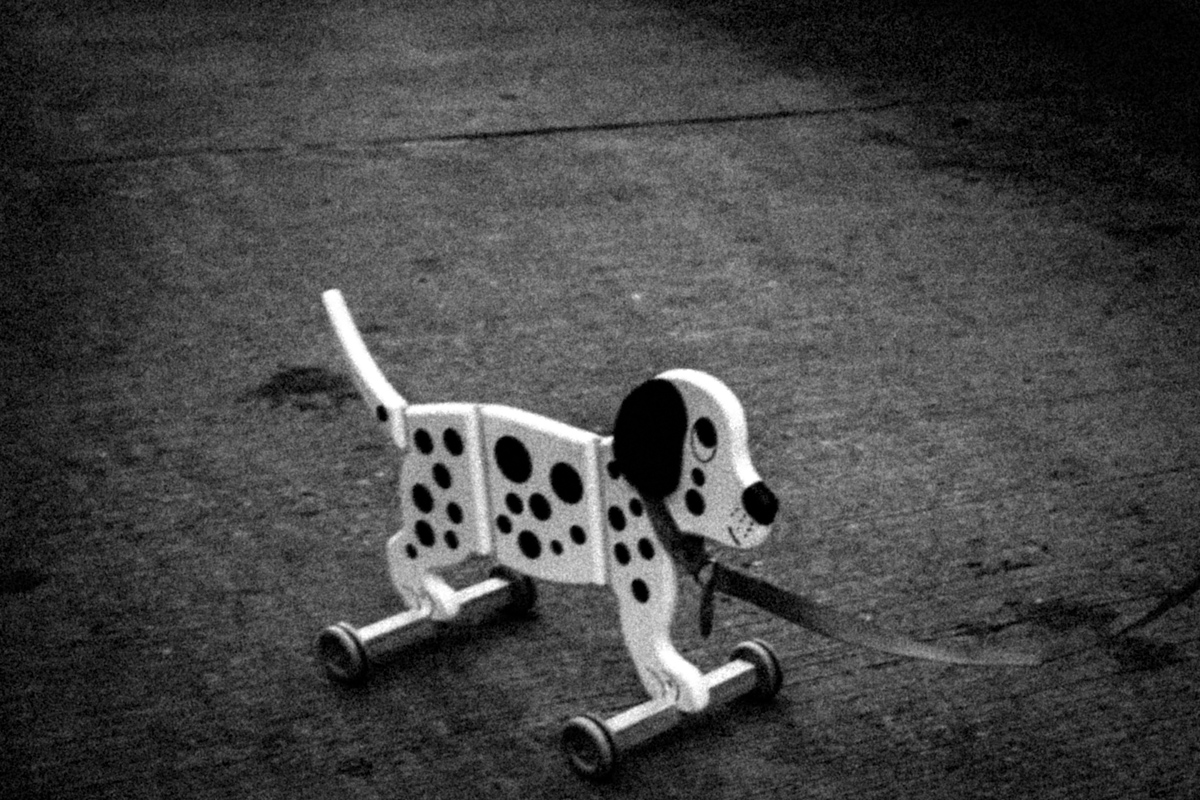 Web Dogs-9.jpg