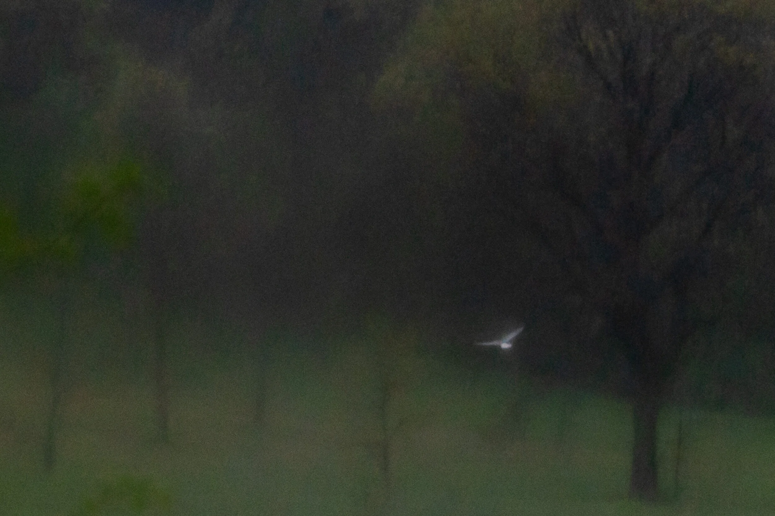 DSC03870.jpg