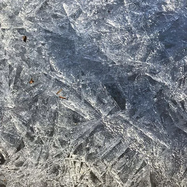 #icemagic