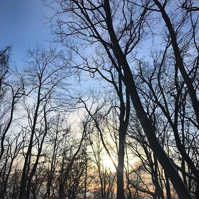 Trying to remind myself why I find Minnesota to be beautiful in the winter #tiredofsnow #tiredofcold #whereisthewarmth