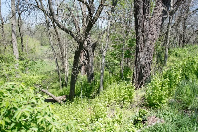 Hershey Creek.jpeg