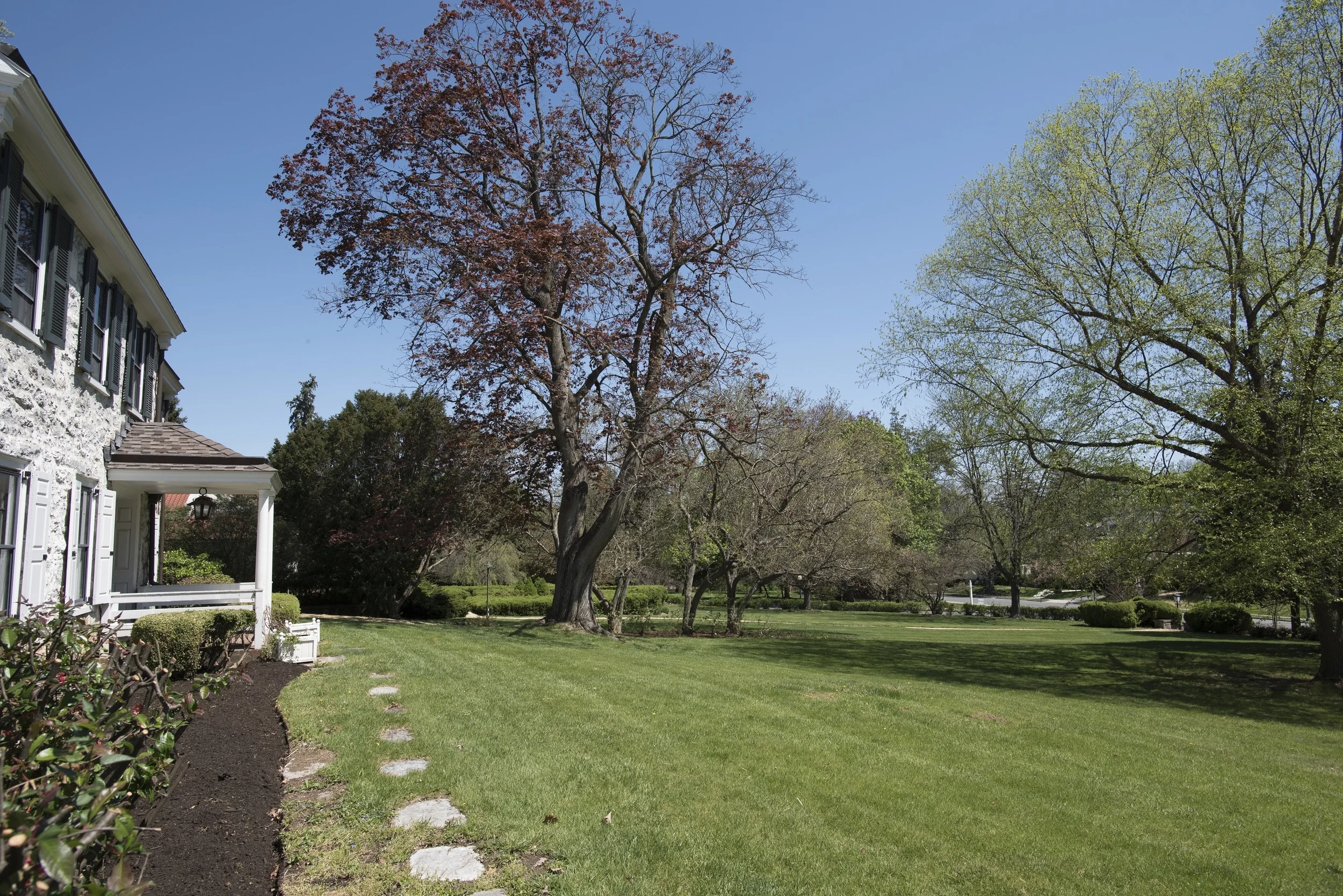 Front Yard.jpg