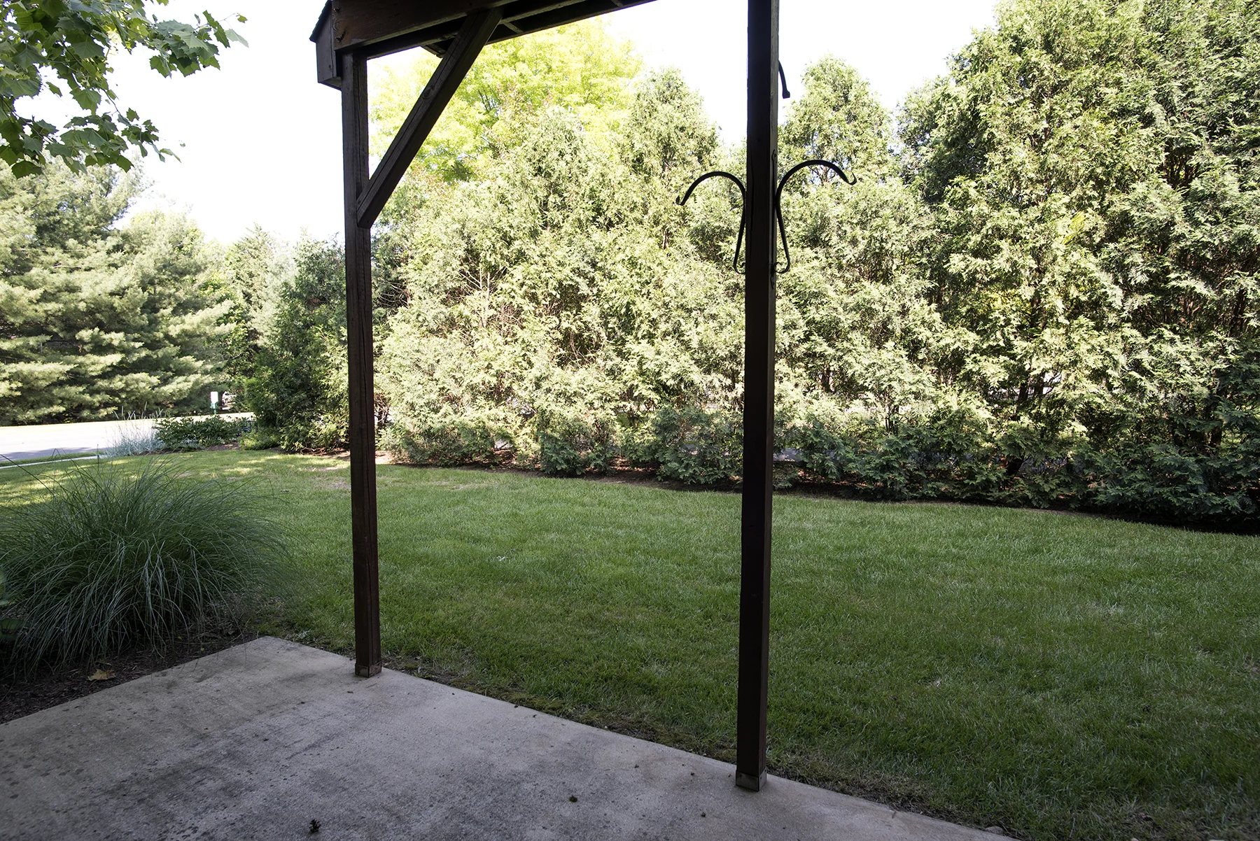 Yard.jpg