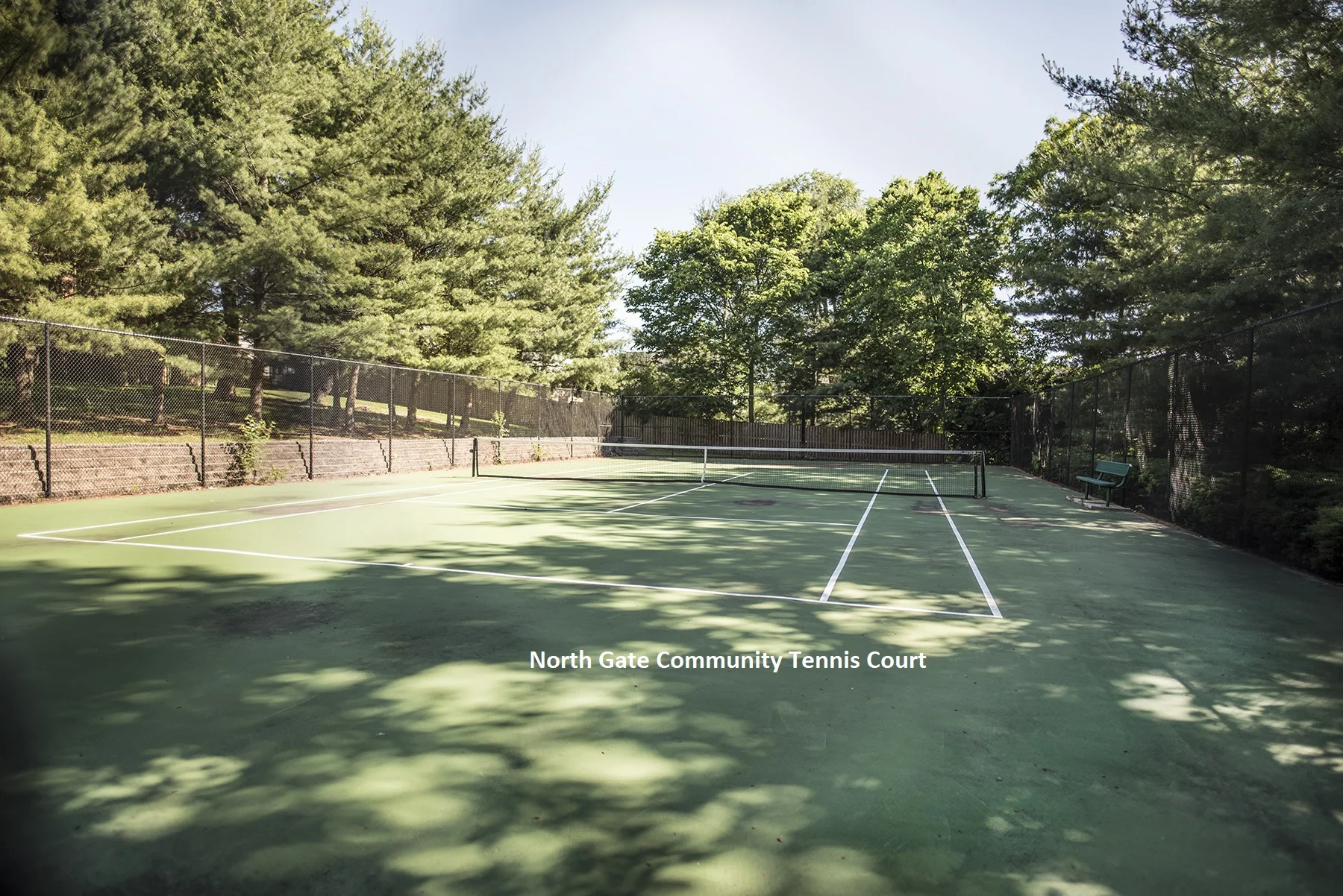 Tennis Court.jpg