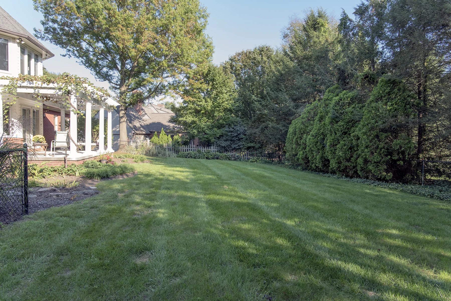 Back Yard.jpg