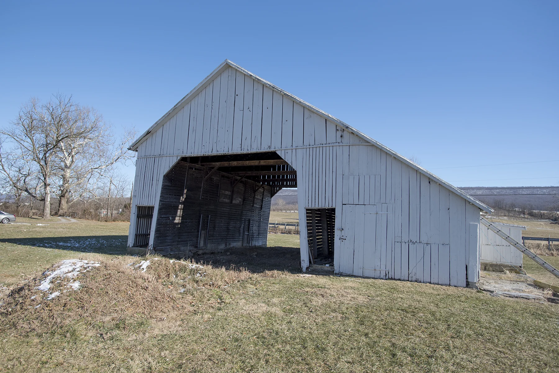 Shed.jpg