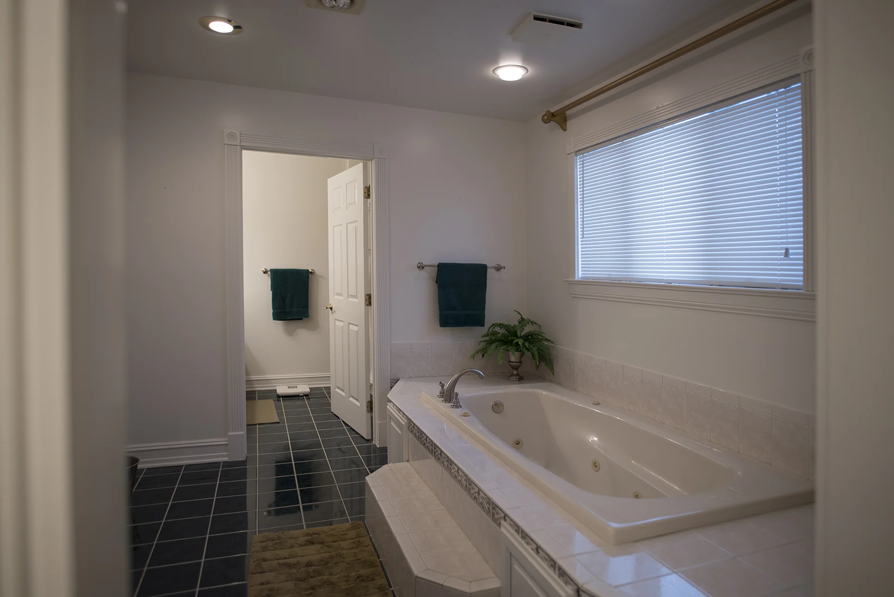 Master Bath 2.jpg