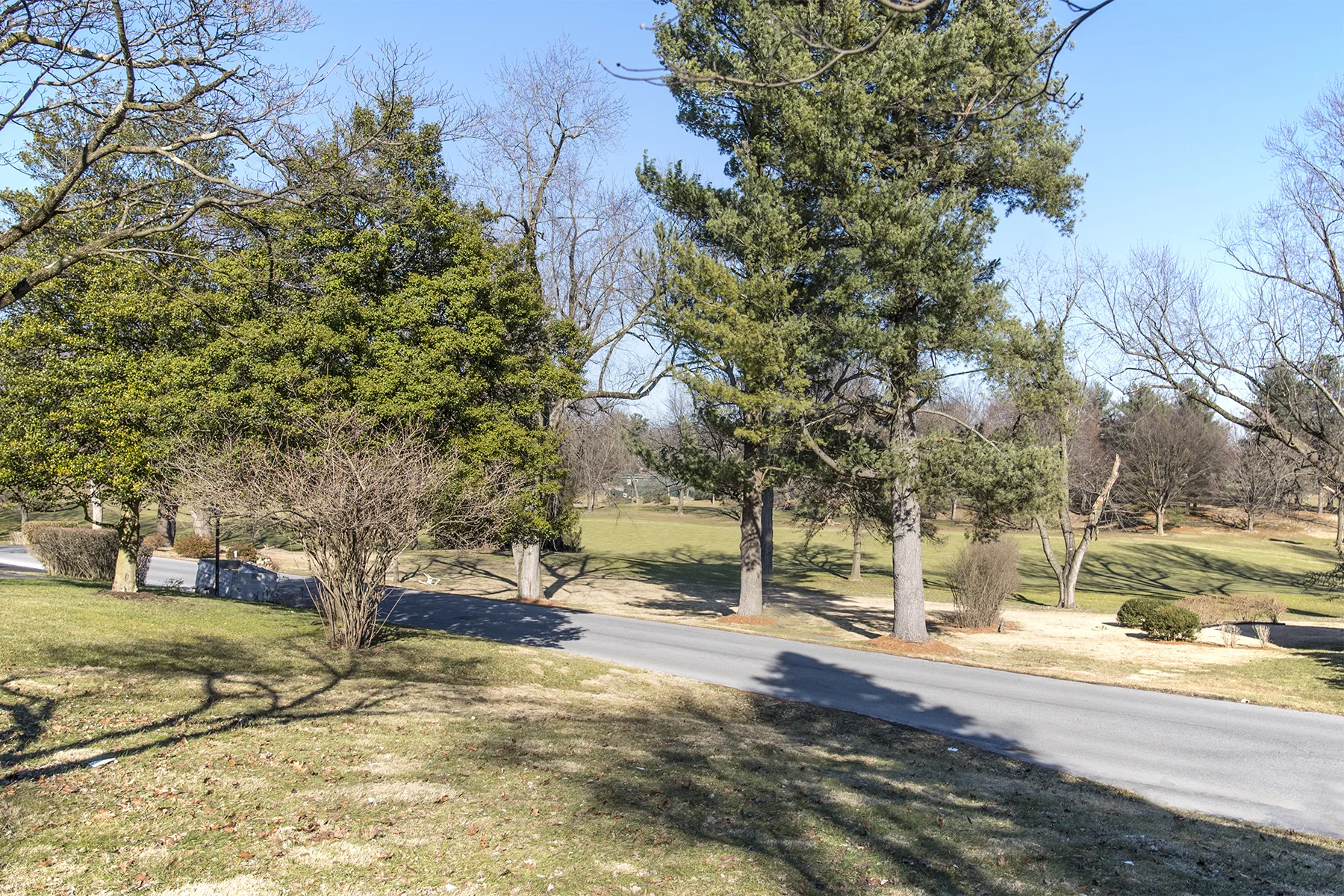View of Golf Course.jpg