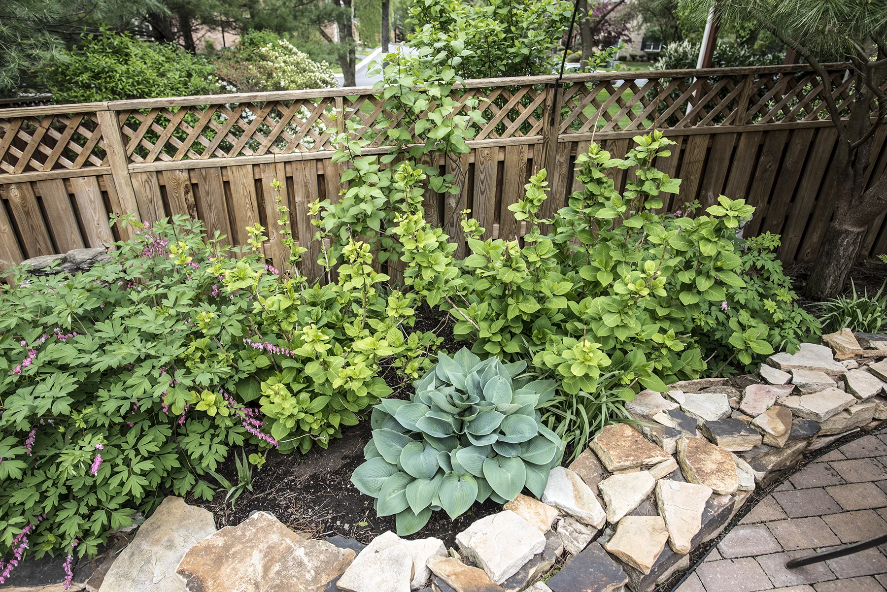 Garden2.jpg