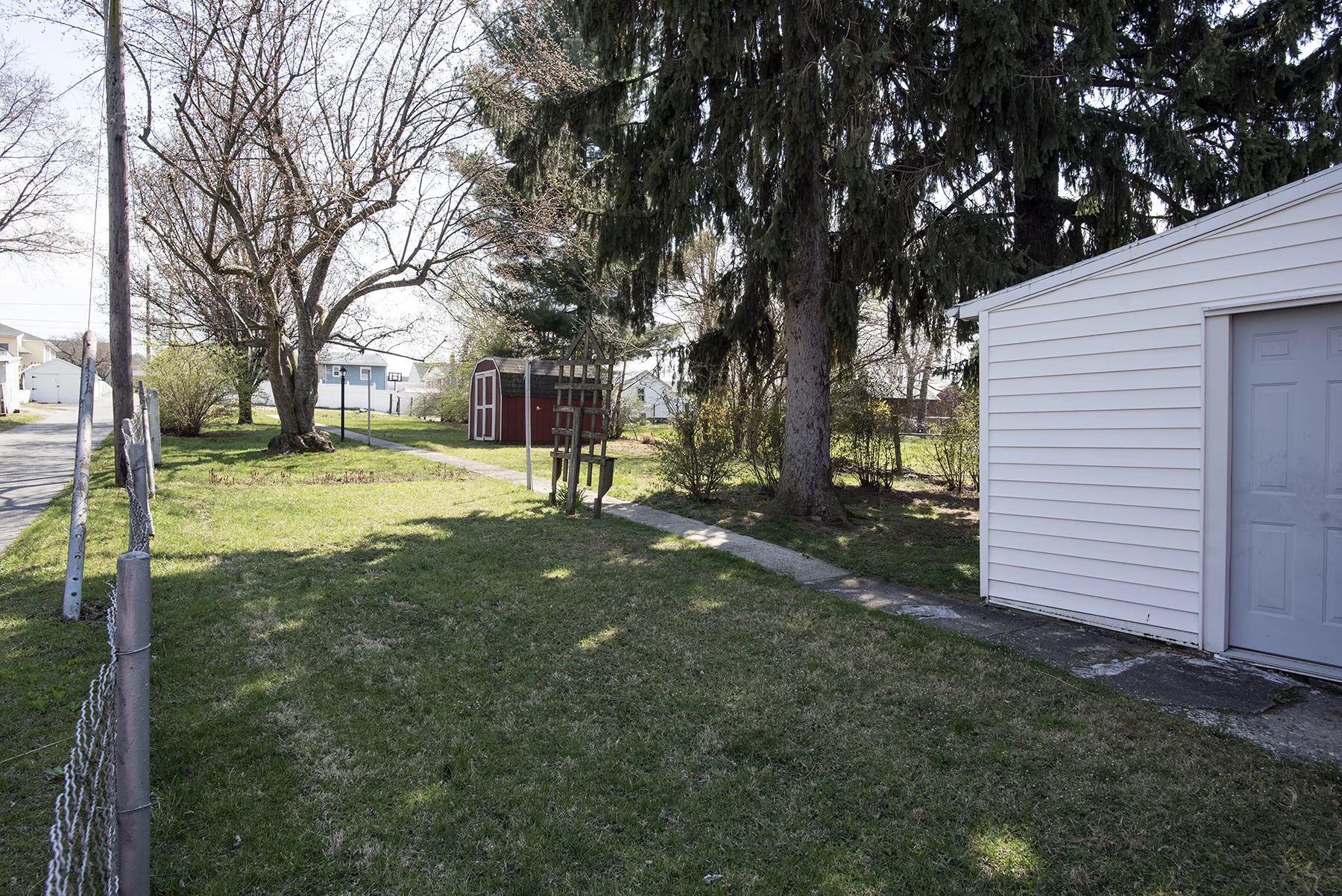 Back Yard.jpg
