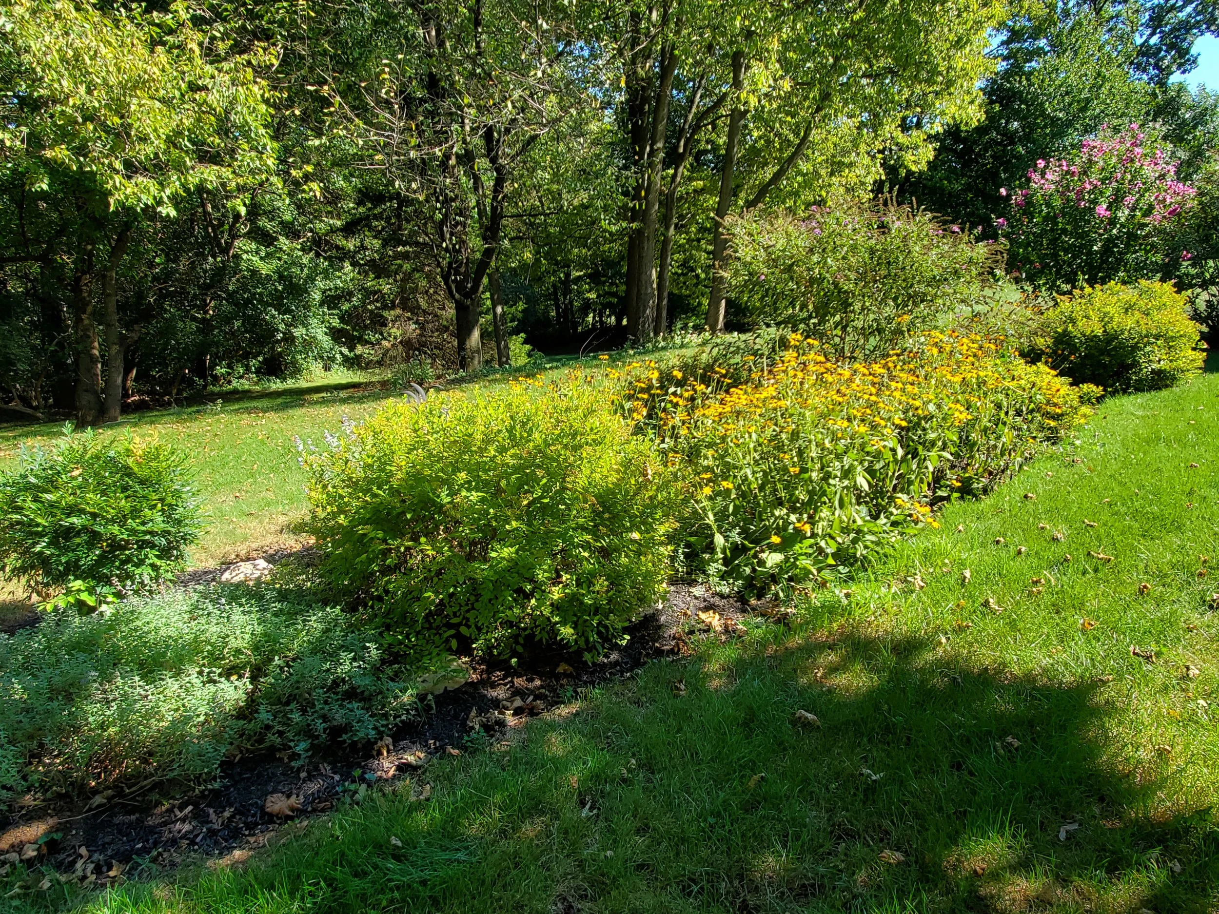 20190903_154827.jpg