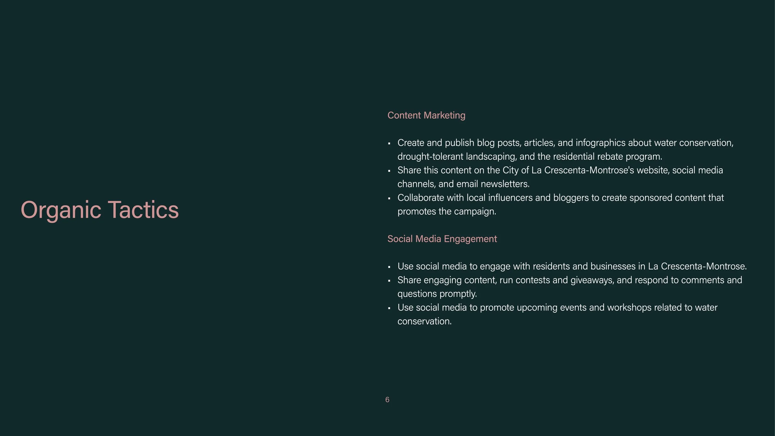Conservation Strategy-7.jpeg
