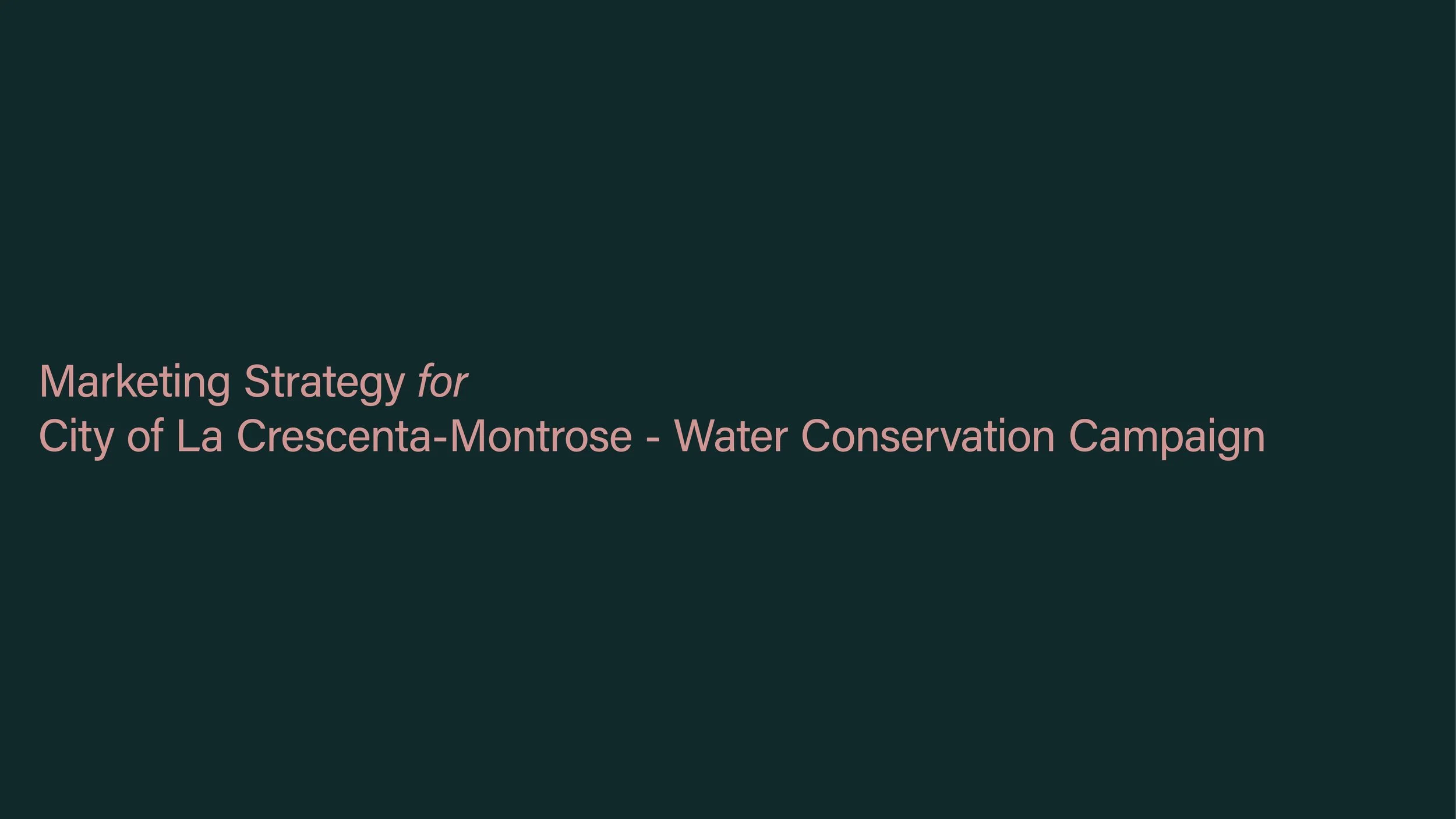 Municipal & Public Sector Marketing Campaign