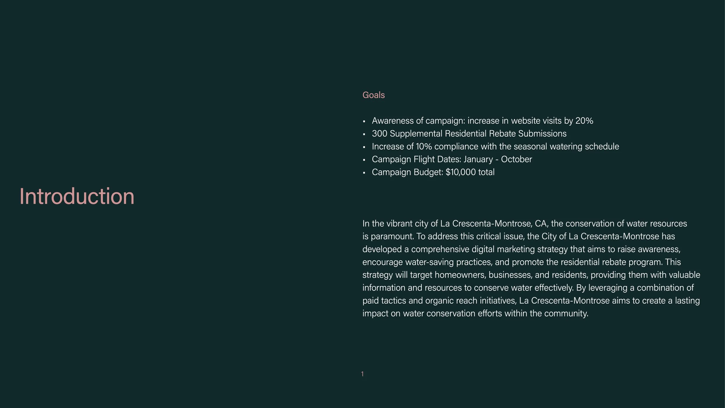 Conservation Strategy-2.jpeg