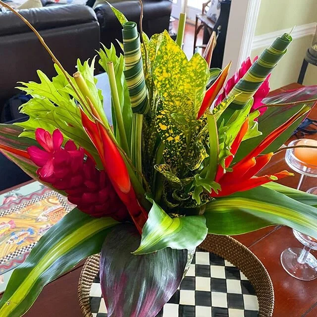 Early Mothers Day Surprise 🌺🌿🌀🌴 Brought a bit of the warm sunny tropics into my life (Perfect for this Cold, Windy, Snow Flurry filled  day in May !!*?!*) ... they know me so well ❤️❤️❤️ Love You ❤️❤️❤️ #mothersdayflowers #abitofthetropics #blust