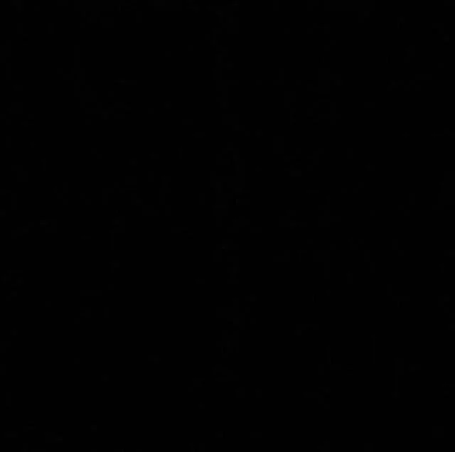 Muted #blackoutday2020