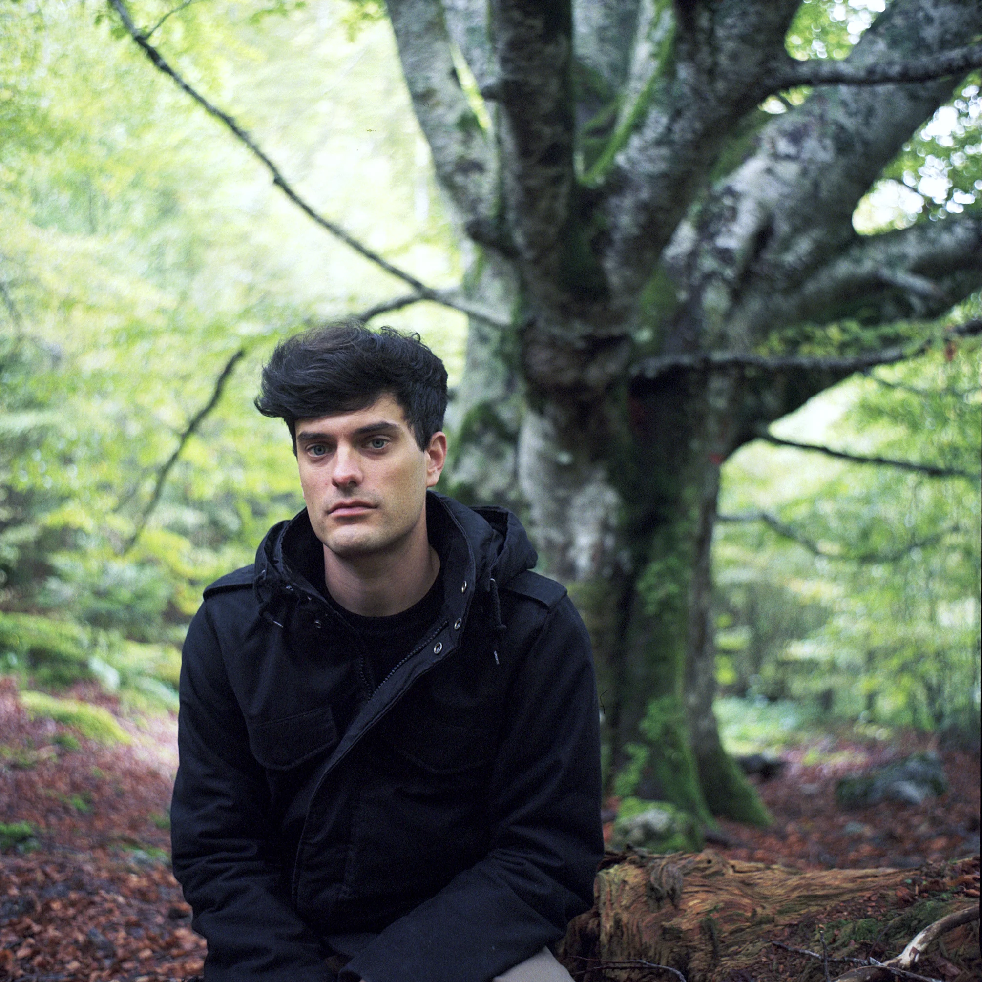 Loic tree.jpg