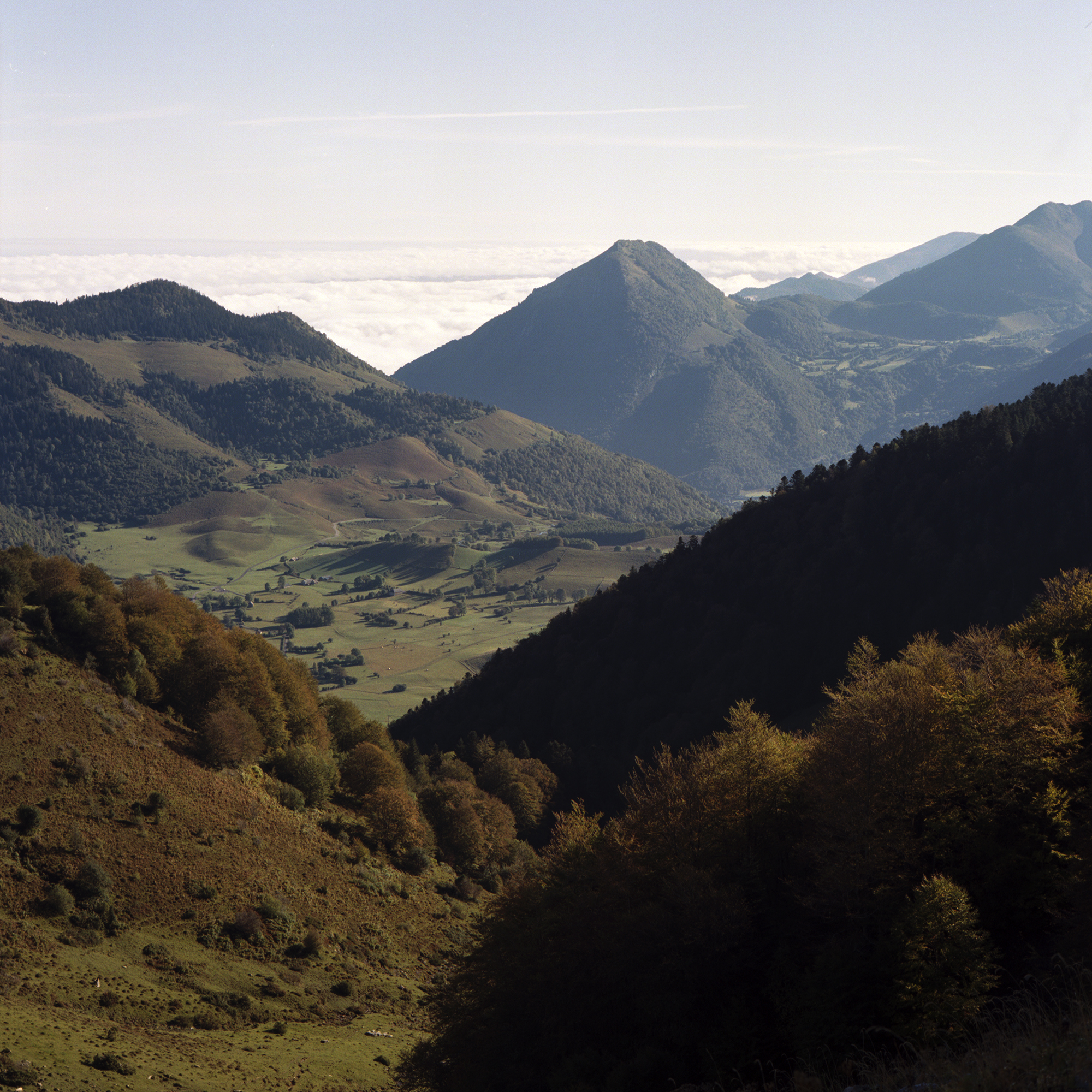 pyrenees perspective.jpg