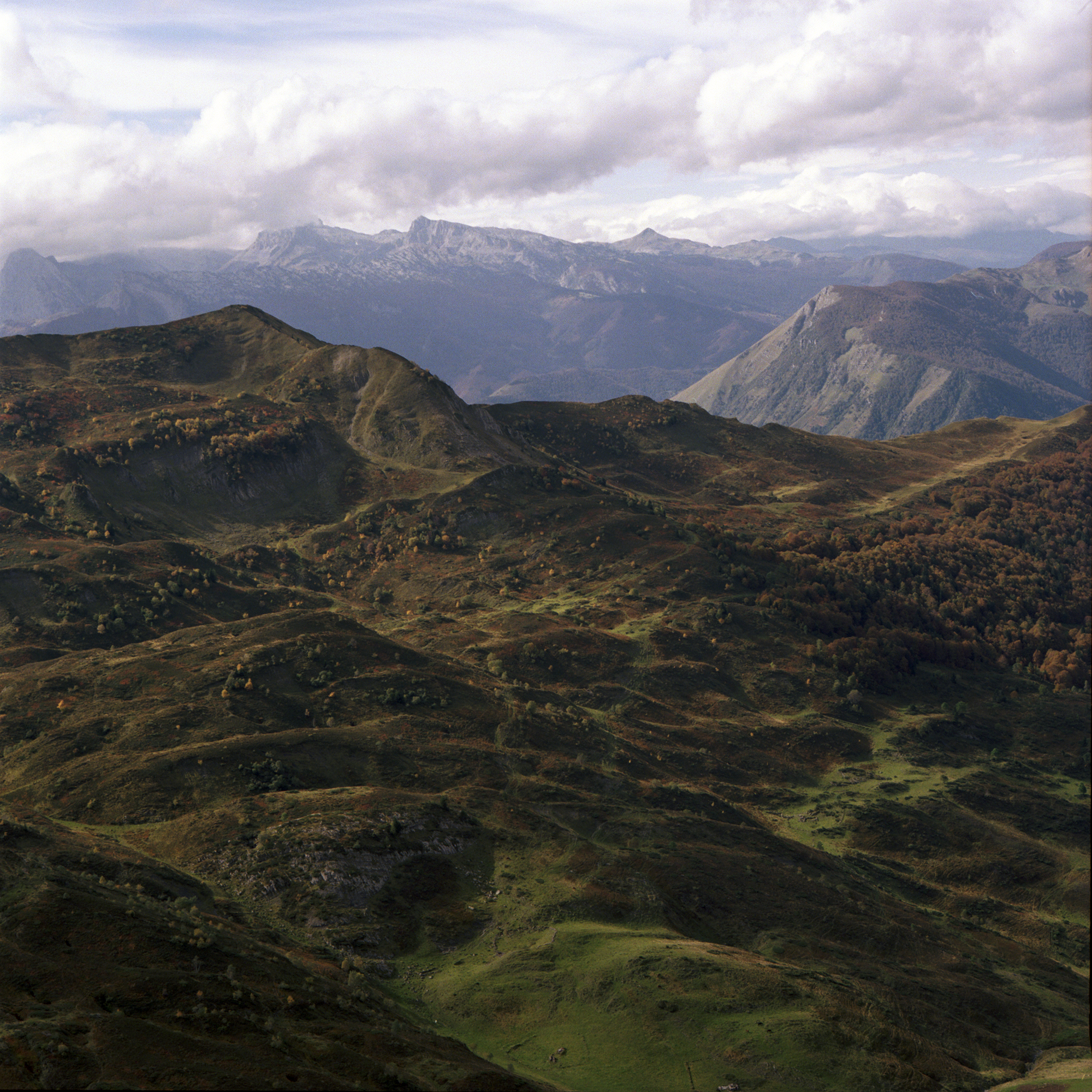pyrenees details.jpg