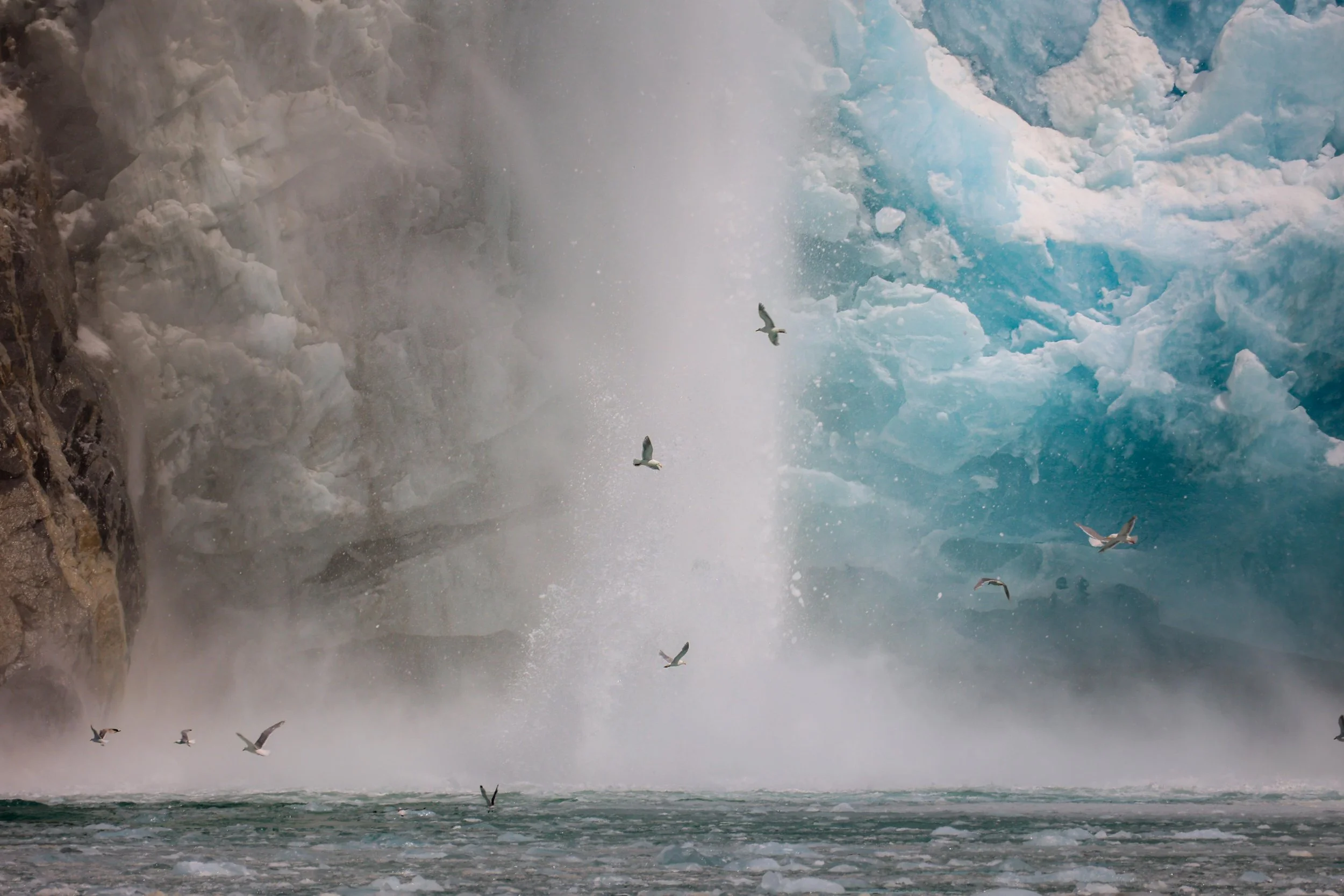 Photo of a glacier with ice falling into the sea and several seagulls flying above the water near the ice.
