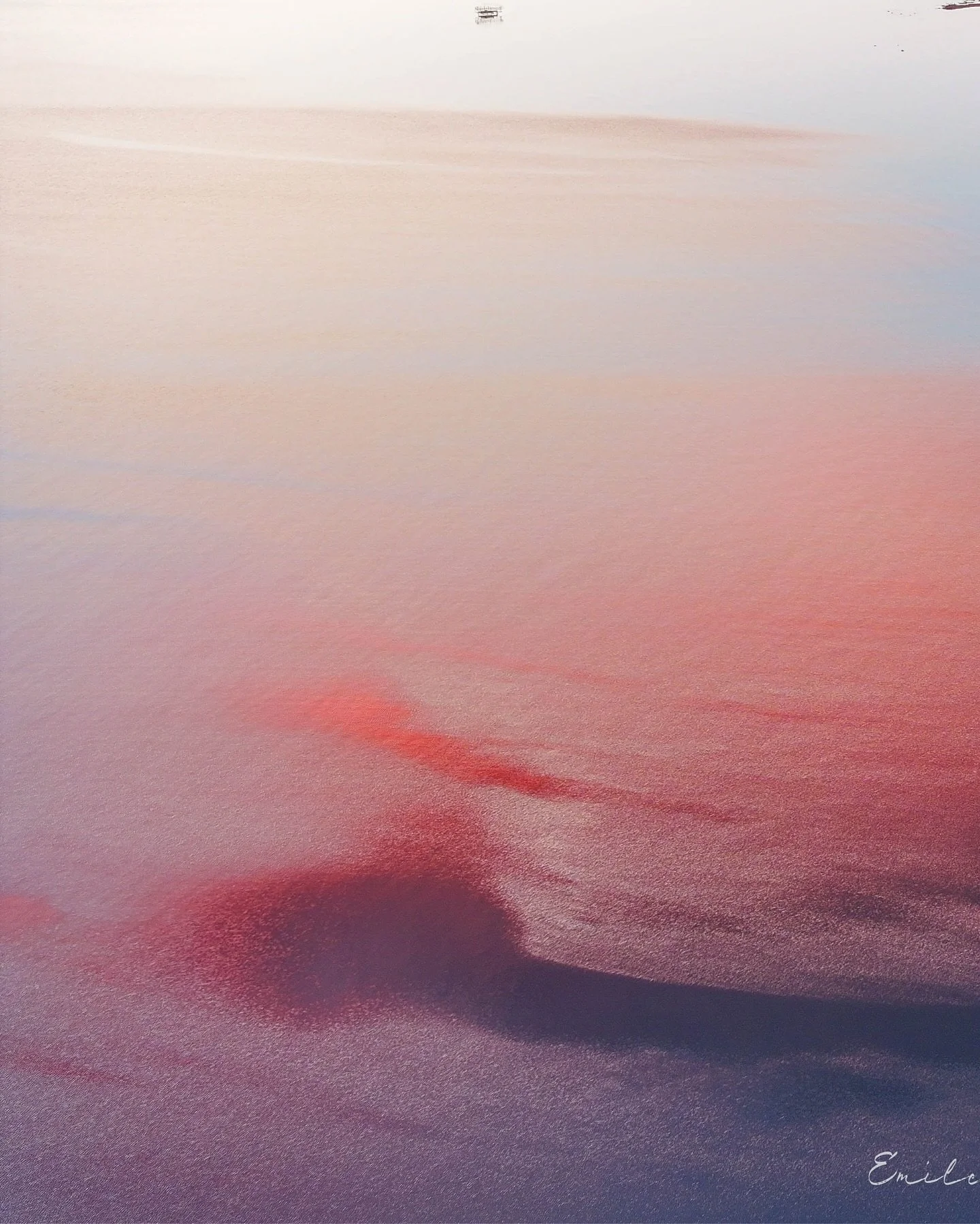 Cloud-Pink Waters 💕🌊

Near the end of sunset, the waters had a noticeably rich saturation from the cloud reflections.  Swipe to see the full image too 👀 Taken in Peninsula Township, Michigan📍

Follow ➡️ @emileerosephoto for more 📸

Visit www.emi