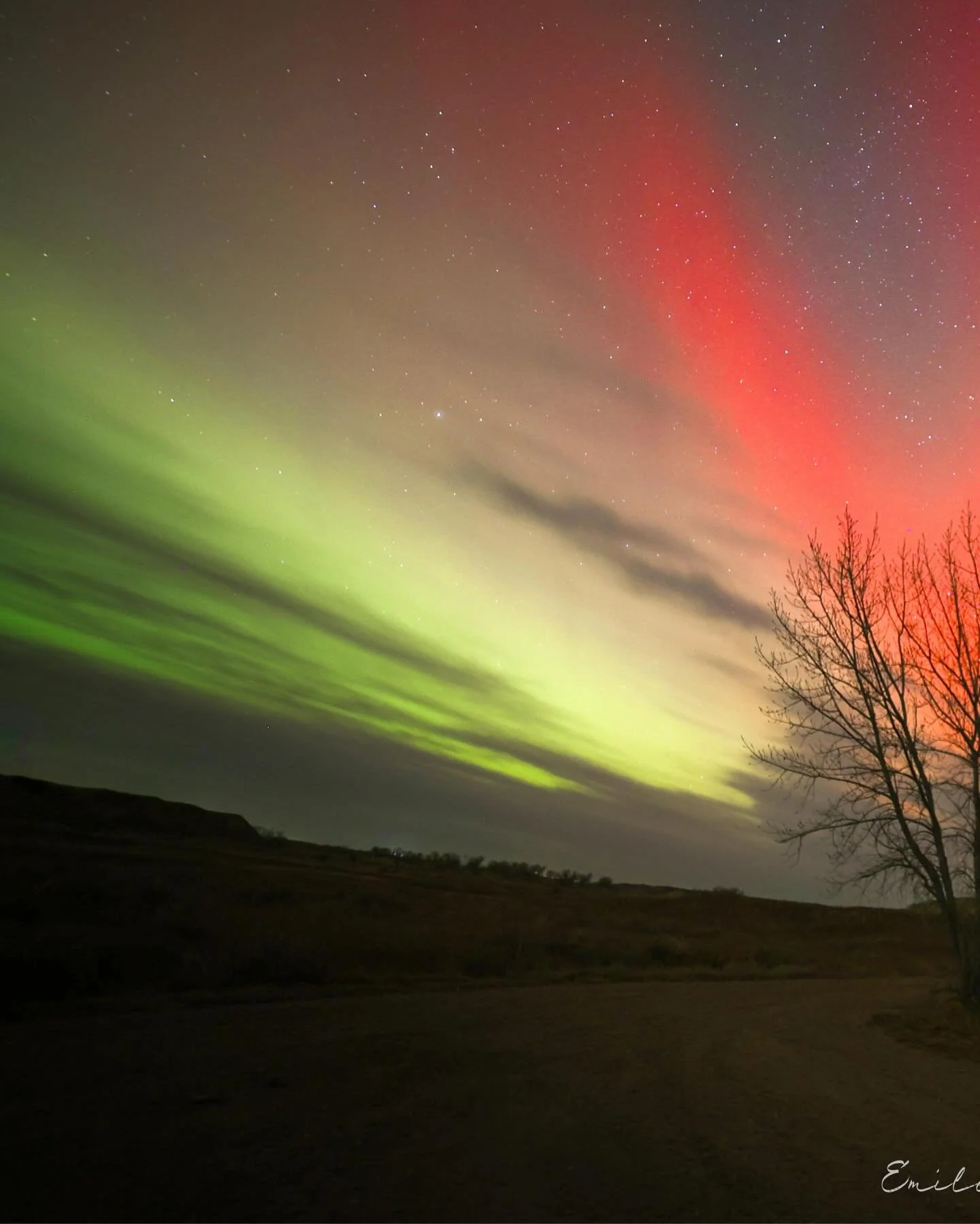 Subtle Sky Stripes 🌌

I missed the most powerful lights from that evening, but still enjoyed a night drive near the Badlands and seeing a lit up sky 💚 Taken in Havre, Montana 📍

Swipe to see the full image 👀

Follow ➡️ @emileerosephoto for more ?