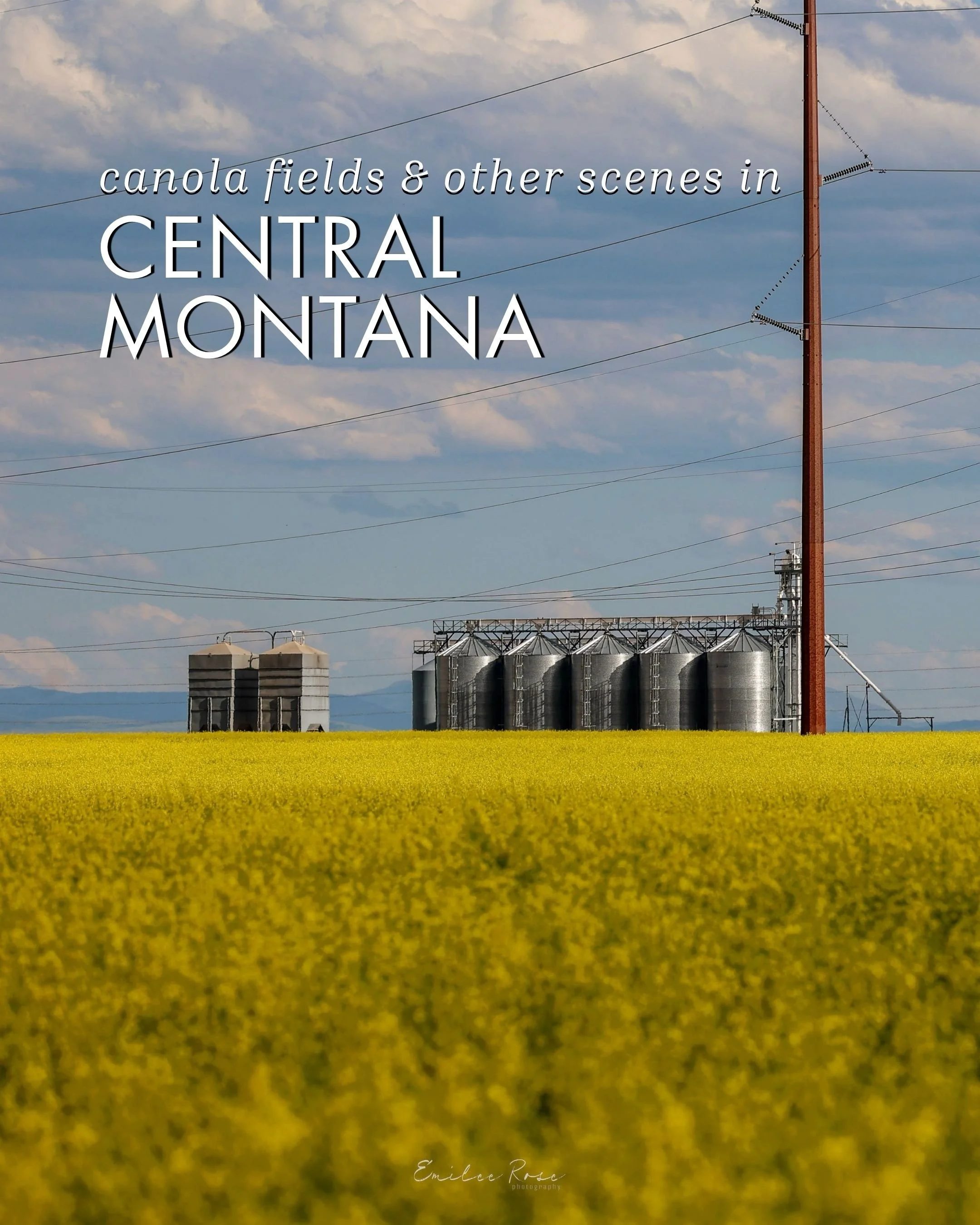 Canola Fields and Other Scenes in Central Montana 💛🌾

Took these shots on a drive from Great Falls to Havre a few weeks ago. Canola fields always catch the eye, and I never get tired of this drive in general. Enjoy 🙂

Follow @emileerosephoto for m