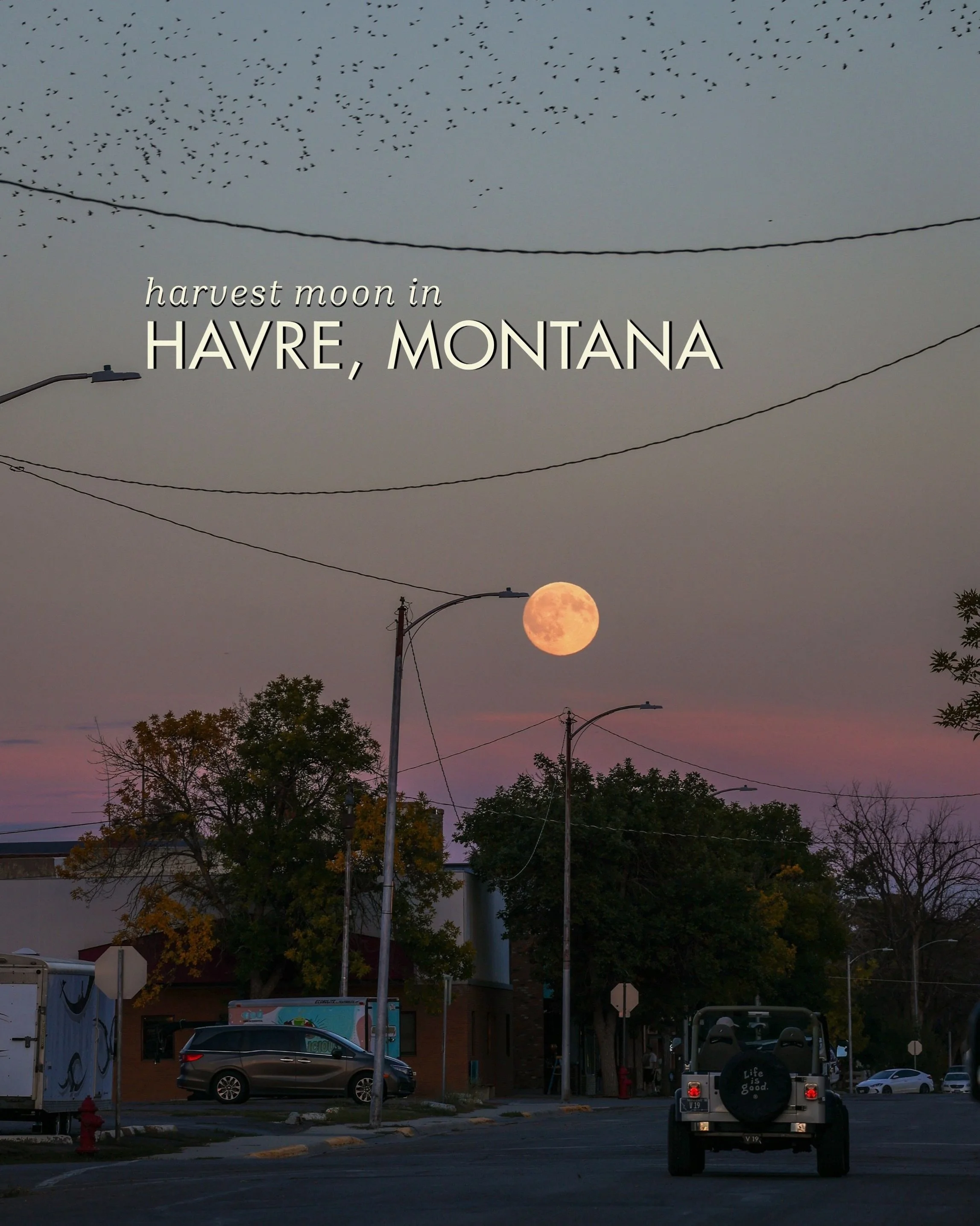 Harvest Moon in Havre 🍂🌕

Took a photo stroll a few nights ago and caught some full moon rising shots around Havre. Beautiful night ❤️

Visit my updated site, www.emileerose.com, or visit the link in my bio to see other work 🙂 Pre-order your 2027 