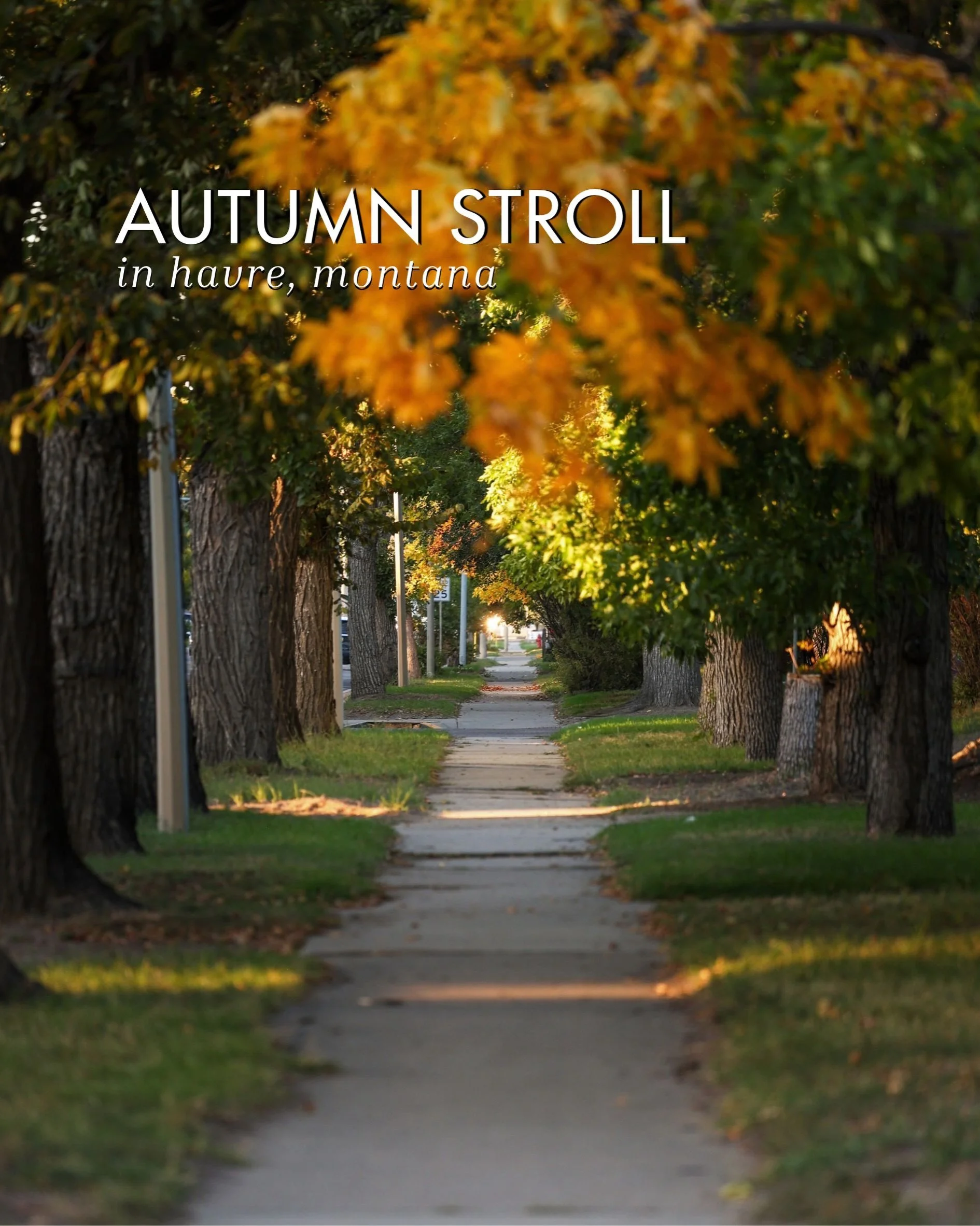 Fall stroll in Havre, Montana 🍂

A simple set of fall shots from a walk around Havre a couple weeks ago, enjoy ☺️ 

Visit my site, www.emileerose.com, or the link in my bio to see other work 🙂 Pre-order your 2027 calendar today - pre-orders close O