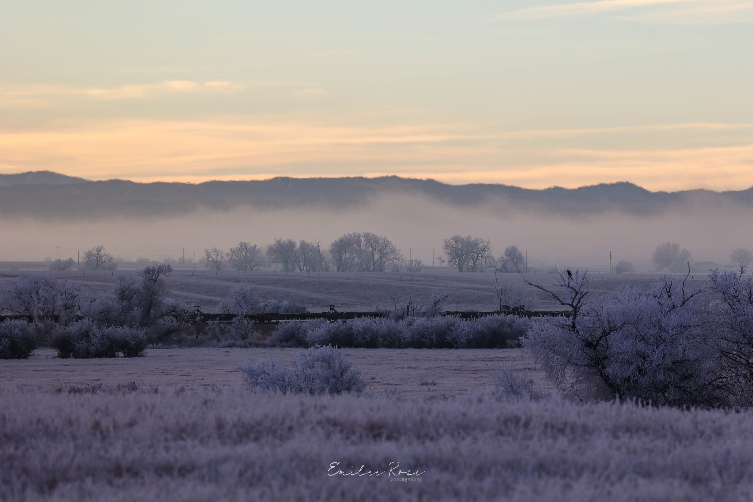 Frosty-10.jpg