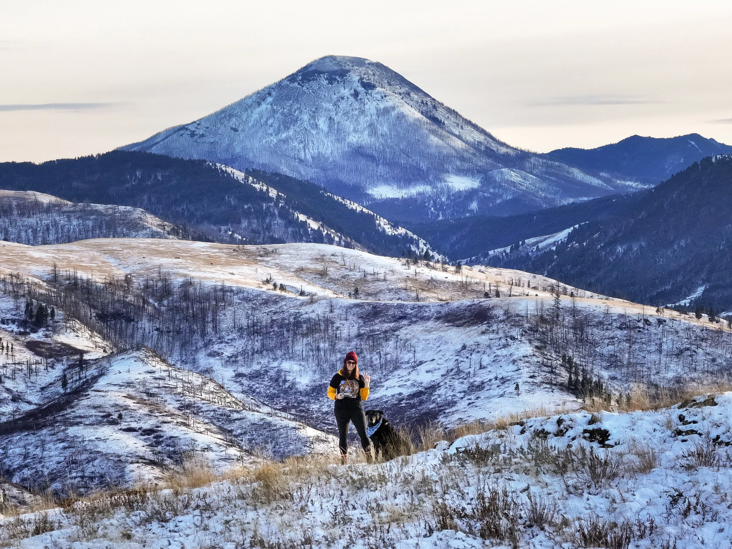 A woman with a dog standing on a snow-covered hillside with mountains in the background, including a prominent volcanic peak.