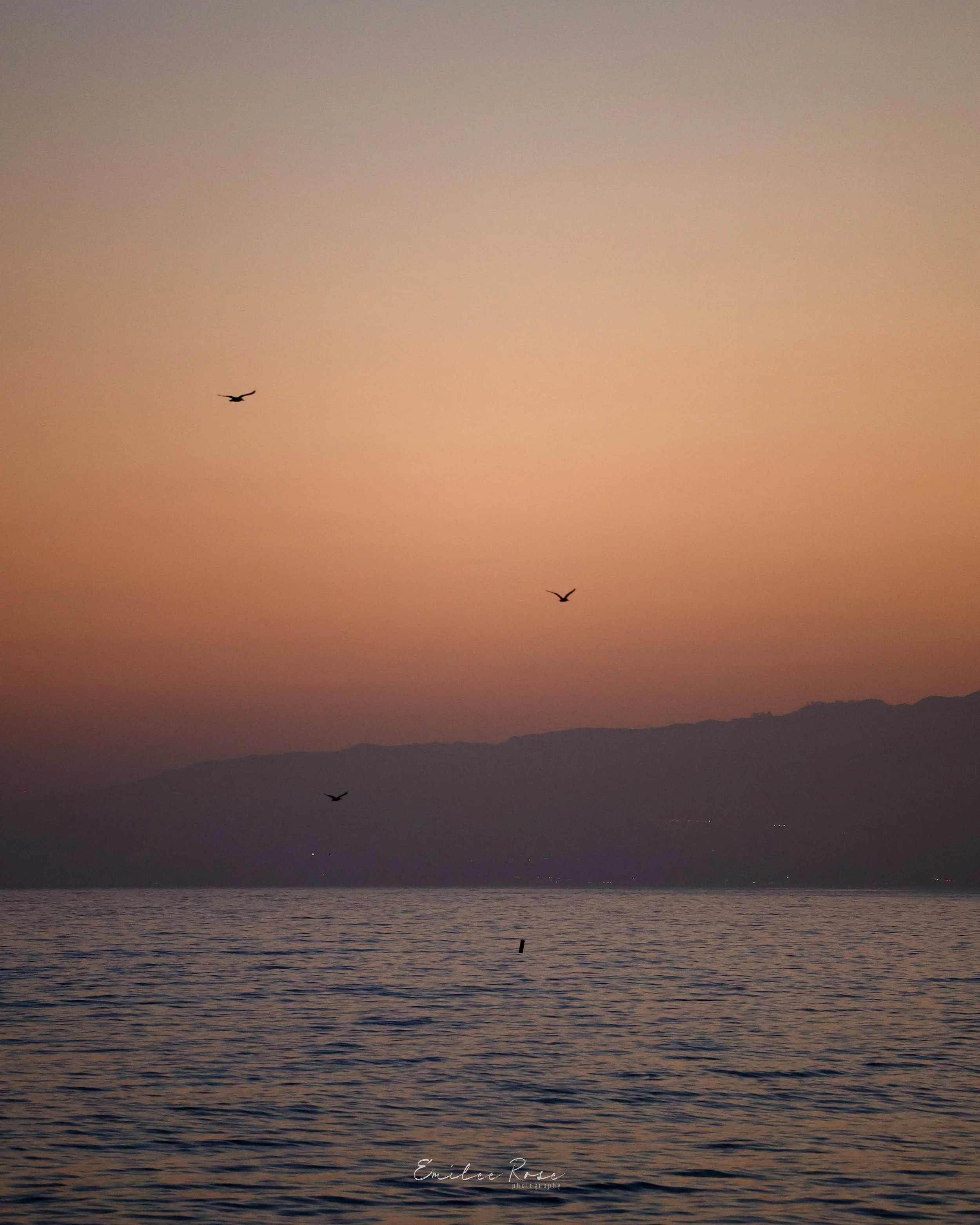 LosAngeles-8.jpg