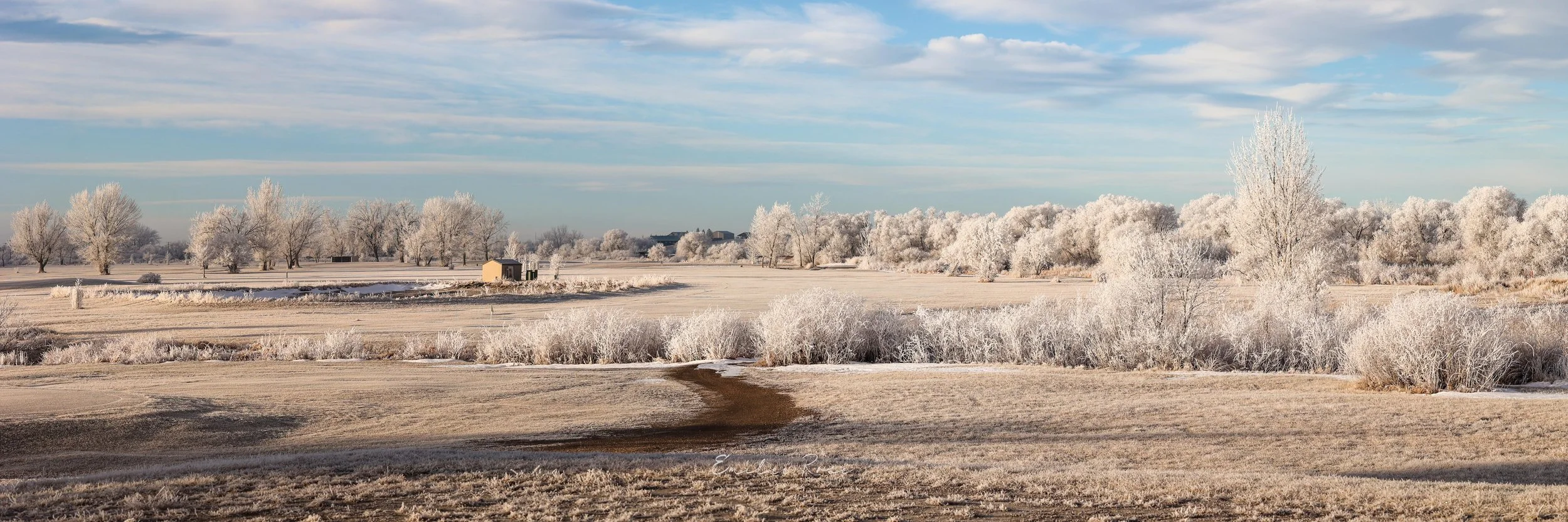 Frozen Wonderland.jpg