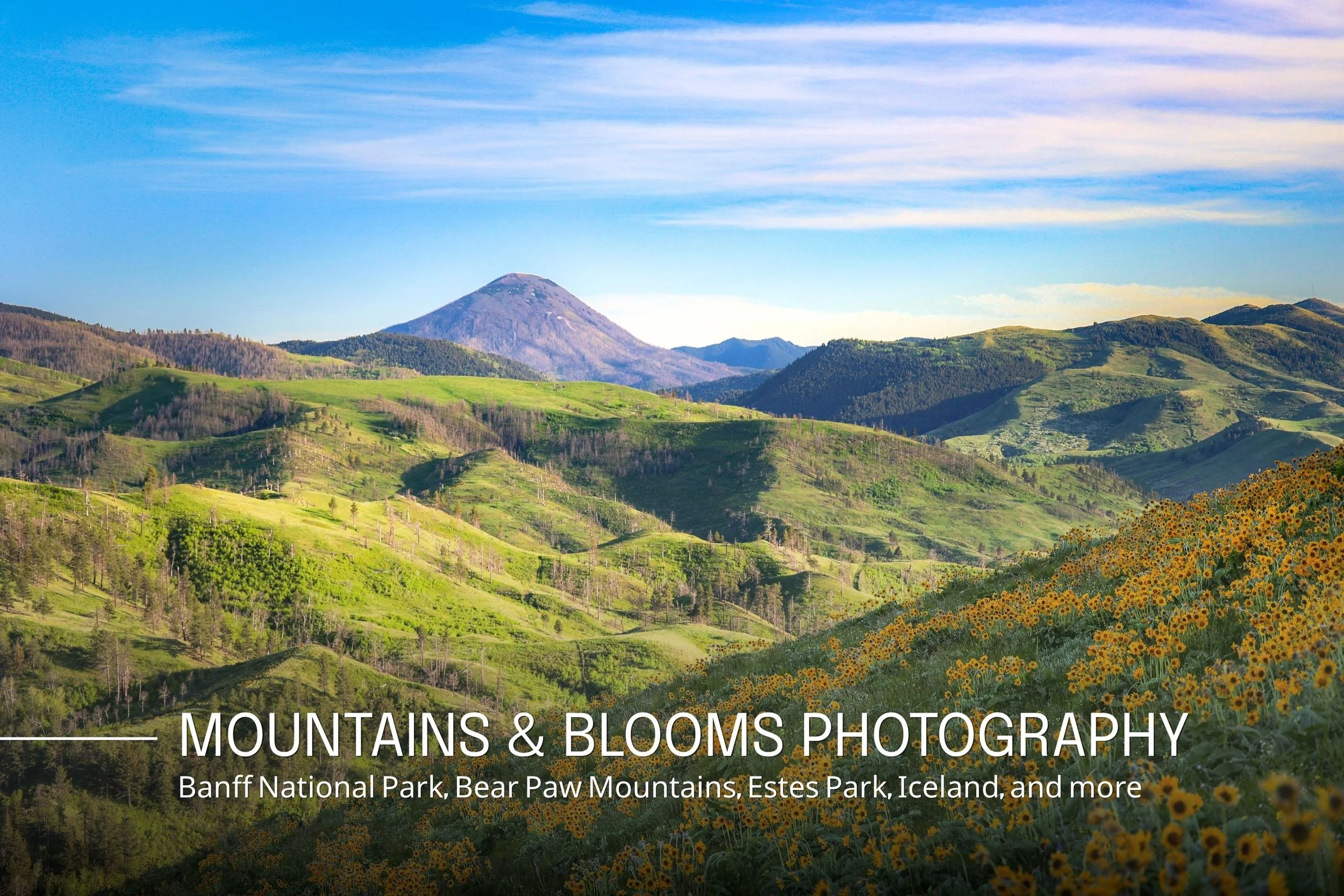 Scenic view of green hills and mountains with a snow-capped peak in the background, under a partly cloudy sky, with yellow flowers in the foreground.