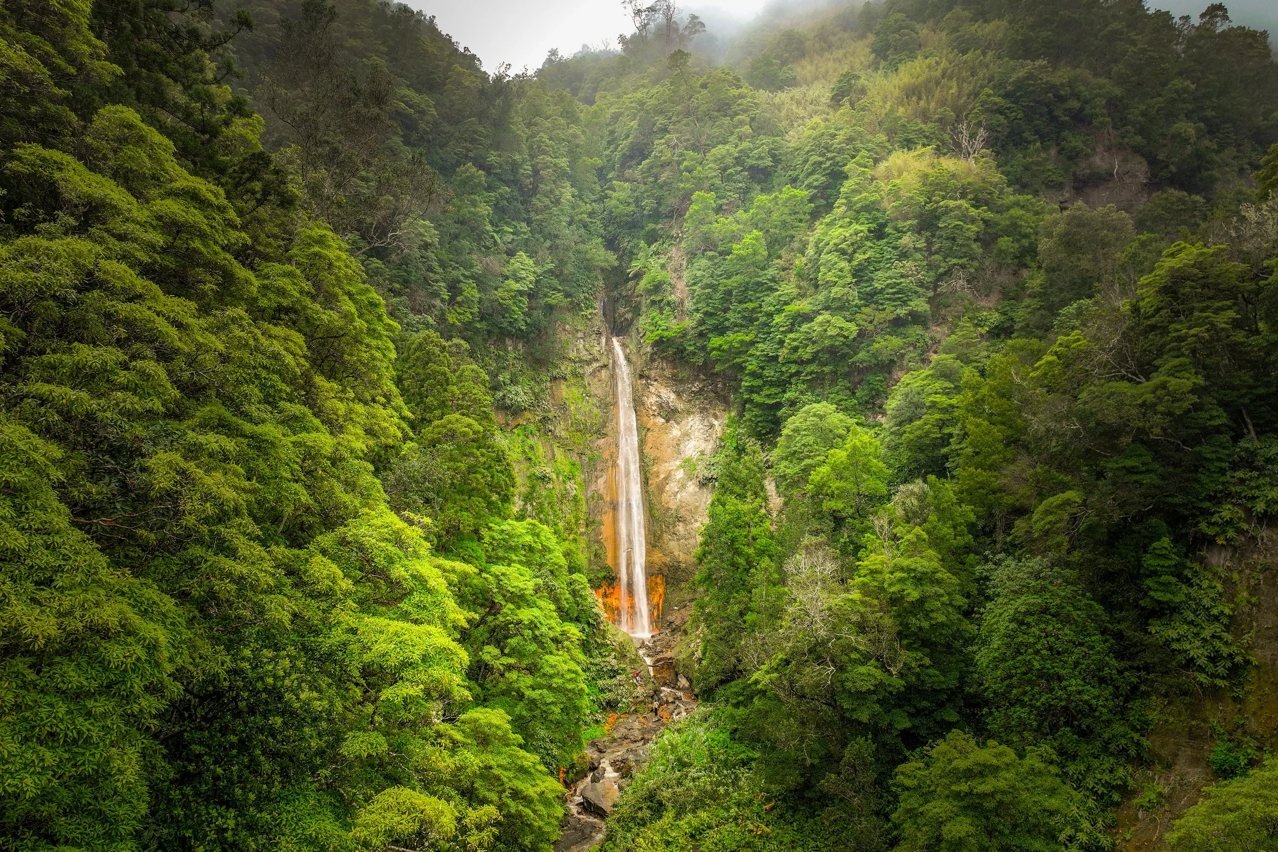 A lush green forest with a tall waterfall cascading down a rocky cliff and a stream flowing at the bottom.