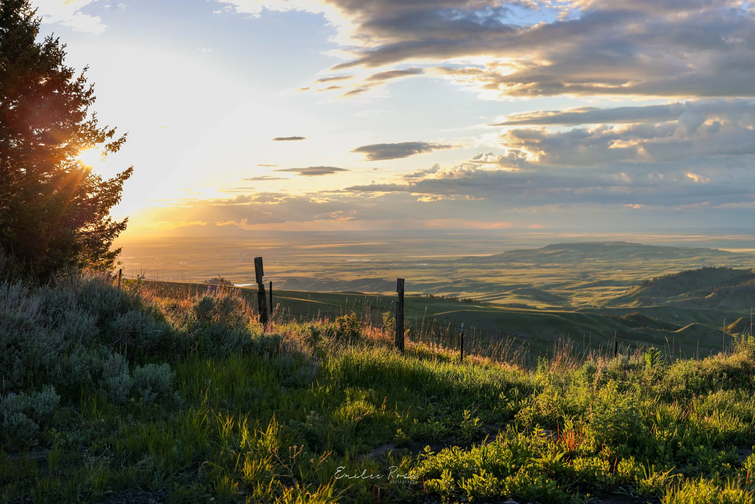 MtCentennial-19.jpg