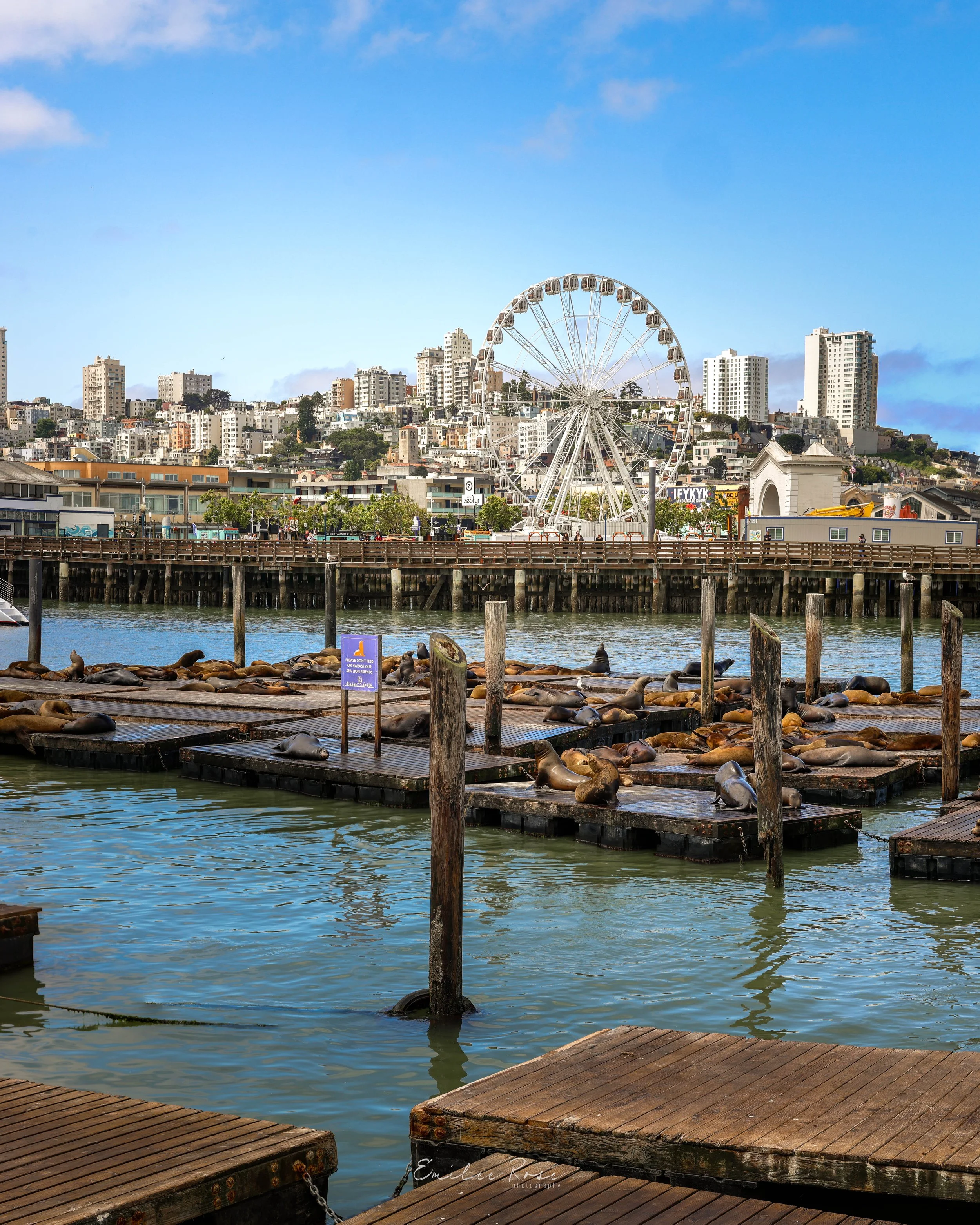 SanFran-6.jpg