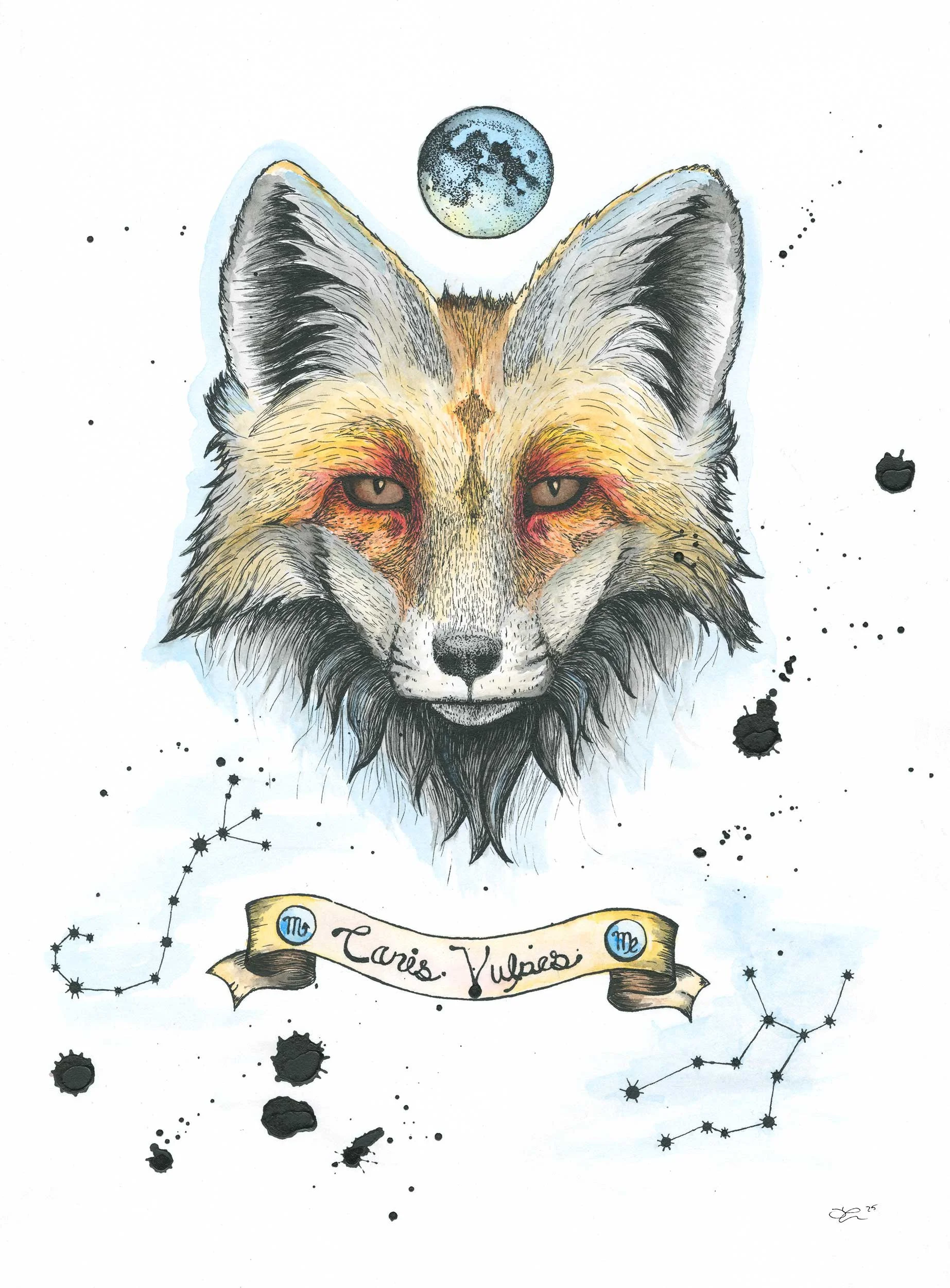 Fox Portrait with moon and consterlations