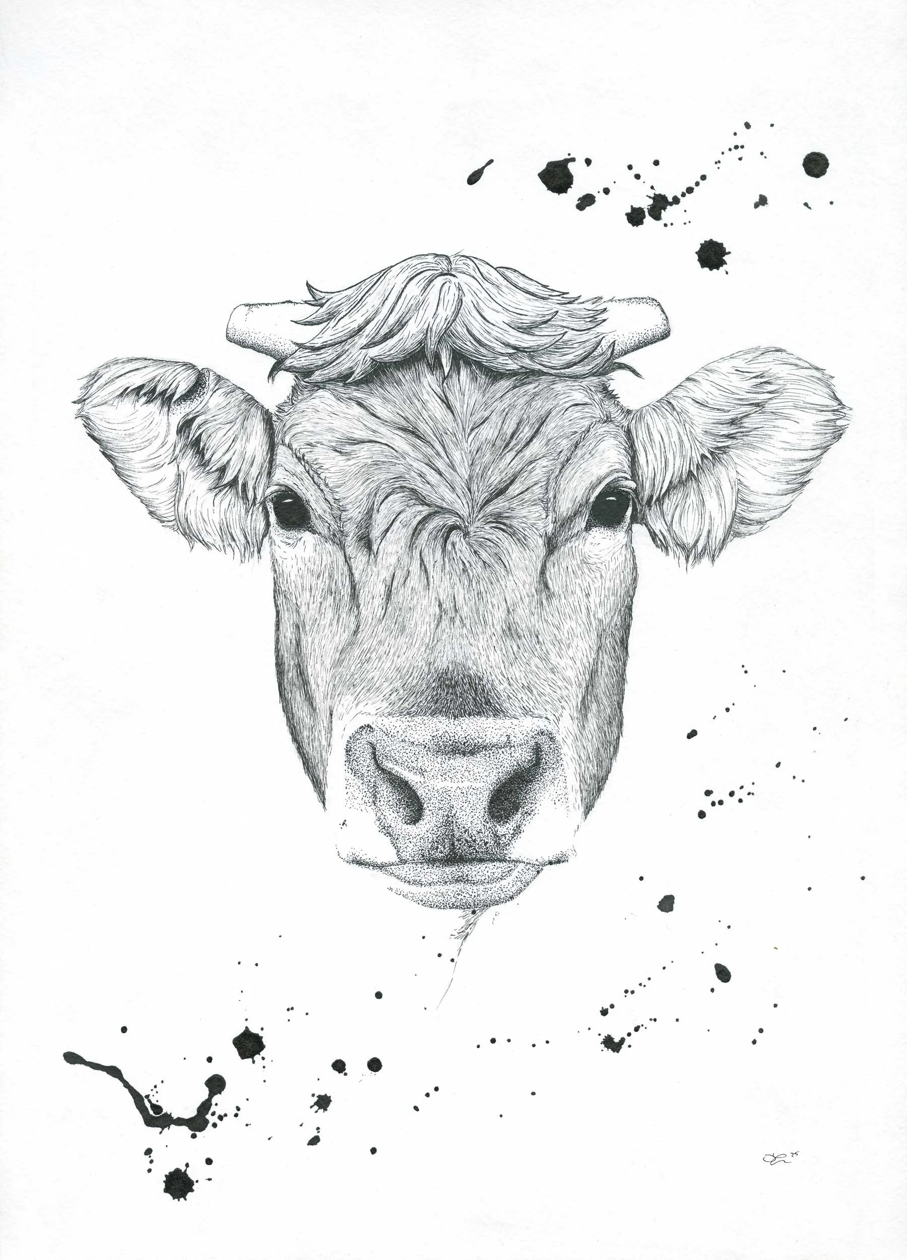 Cow