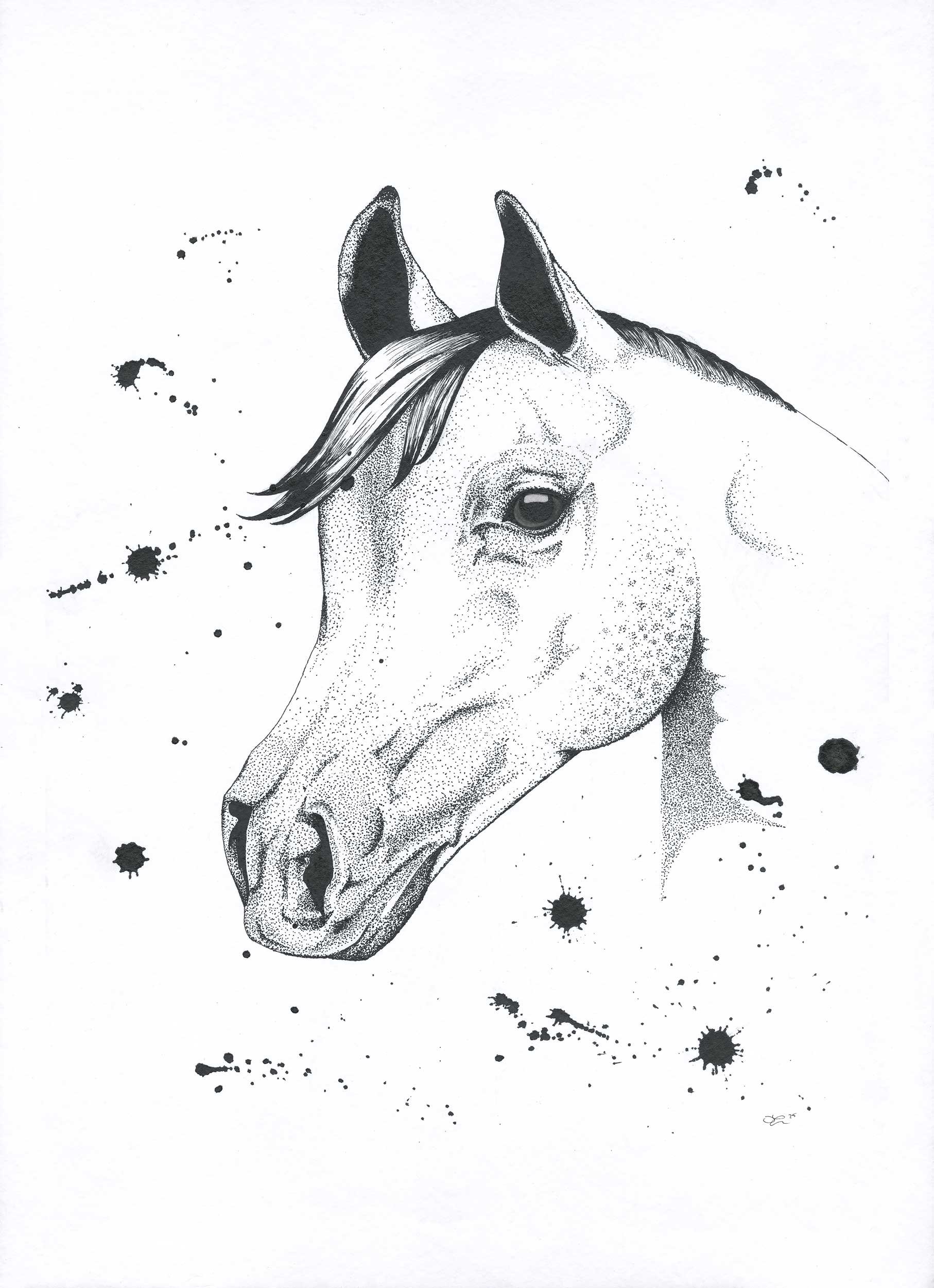 drawing6.jpg