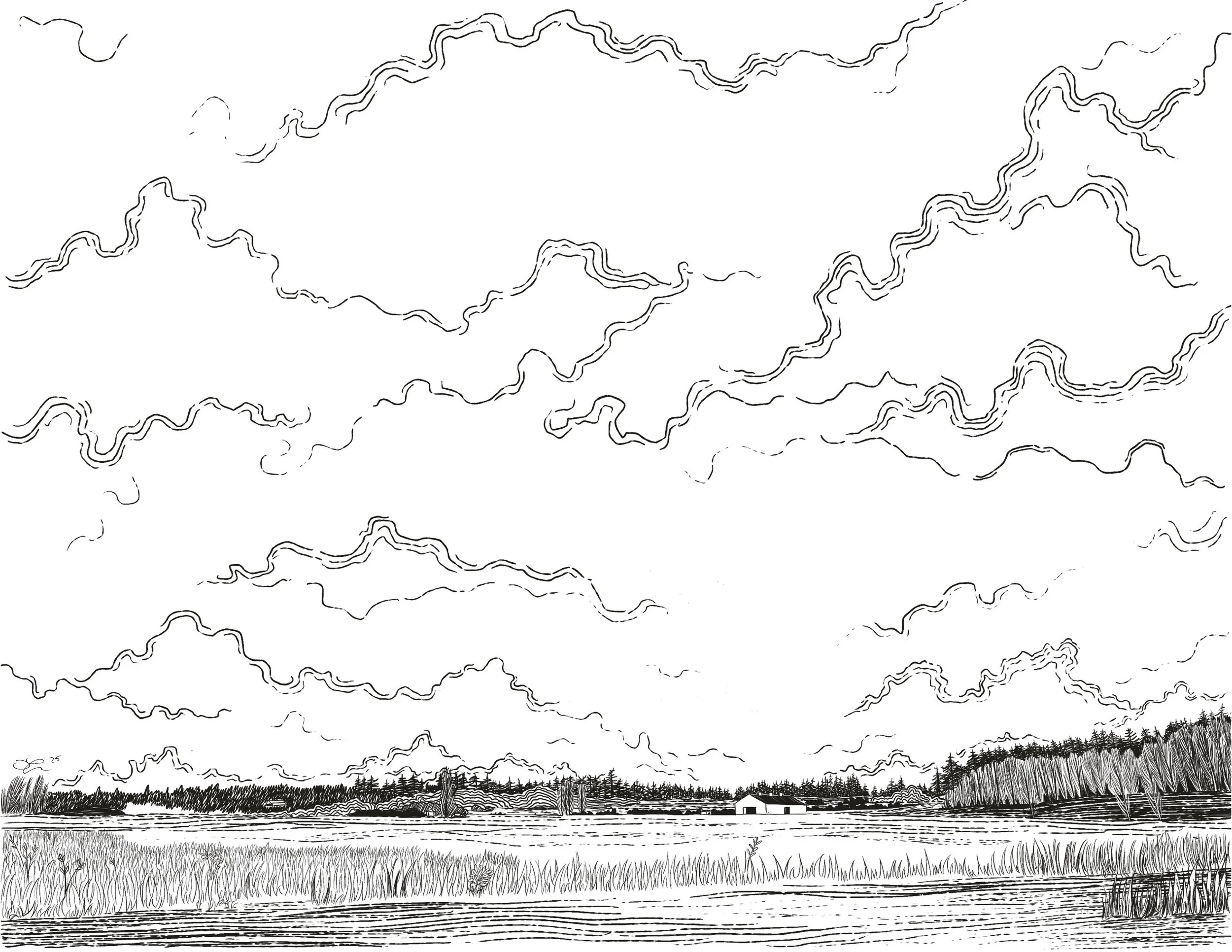 Farmhouses, San Juan Island, Wa