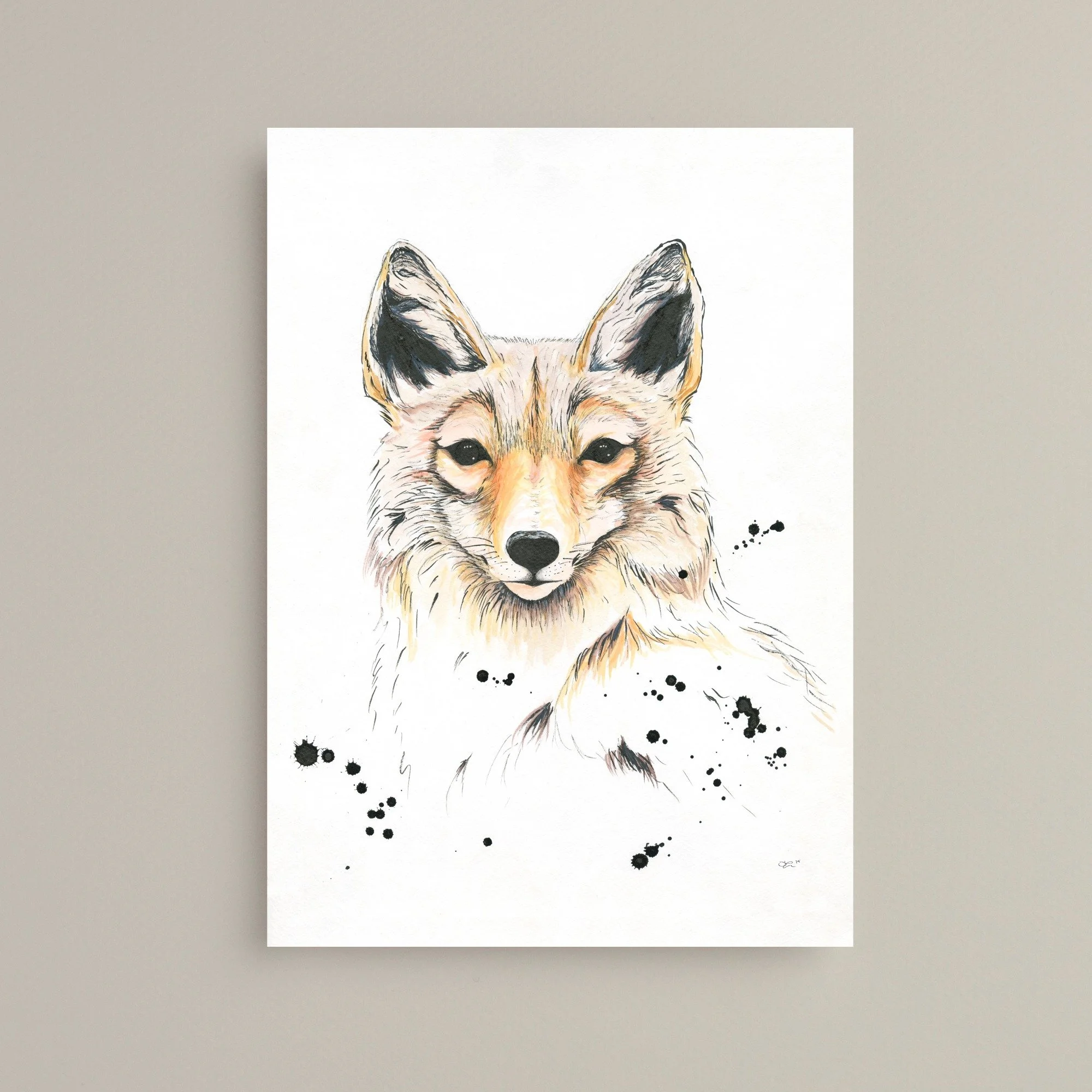 Coyote print on heavy weight matte paper