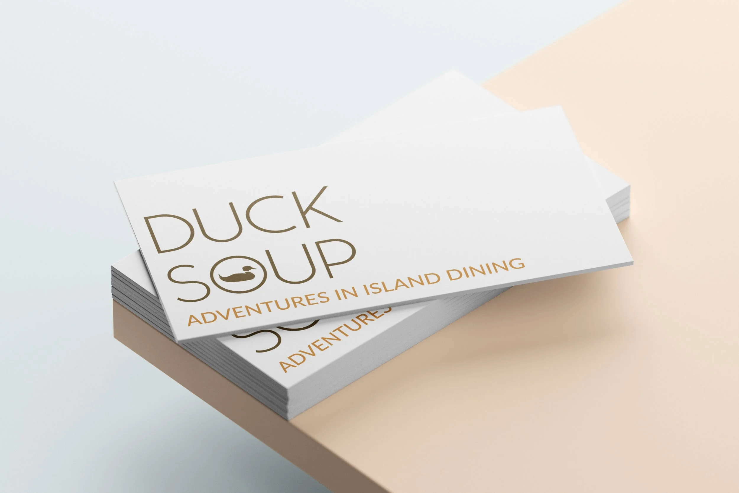 Stack of brochures or flyers titled 'Duck Soup' with a logo of a duck, on a beige and light blue surface.