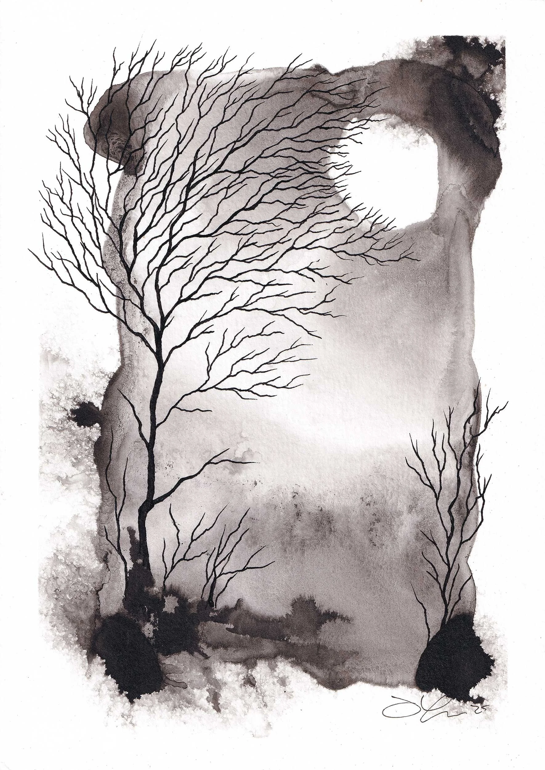 jesi jean india ink landscaoe study no3.jpg