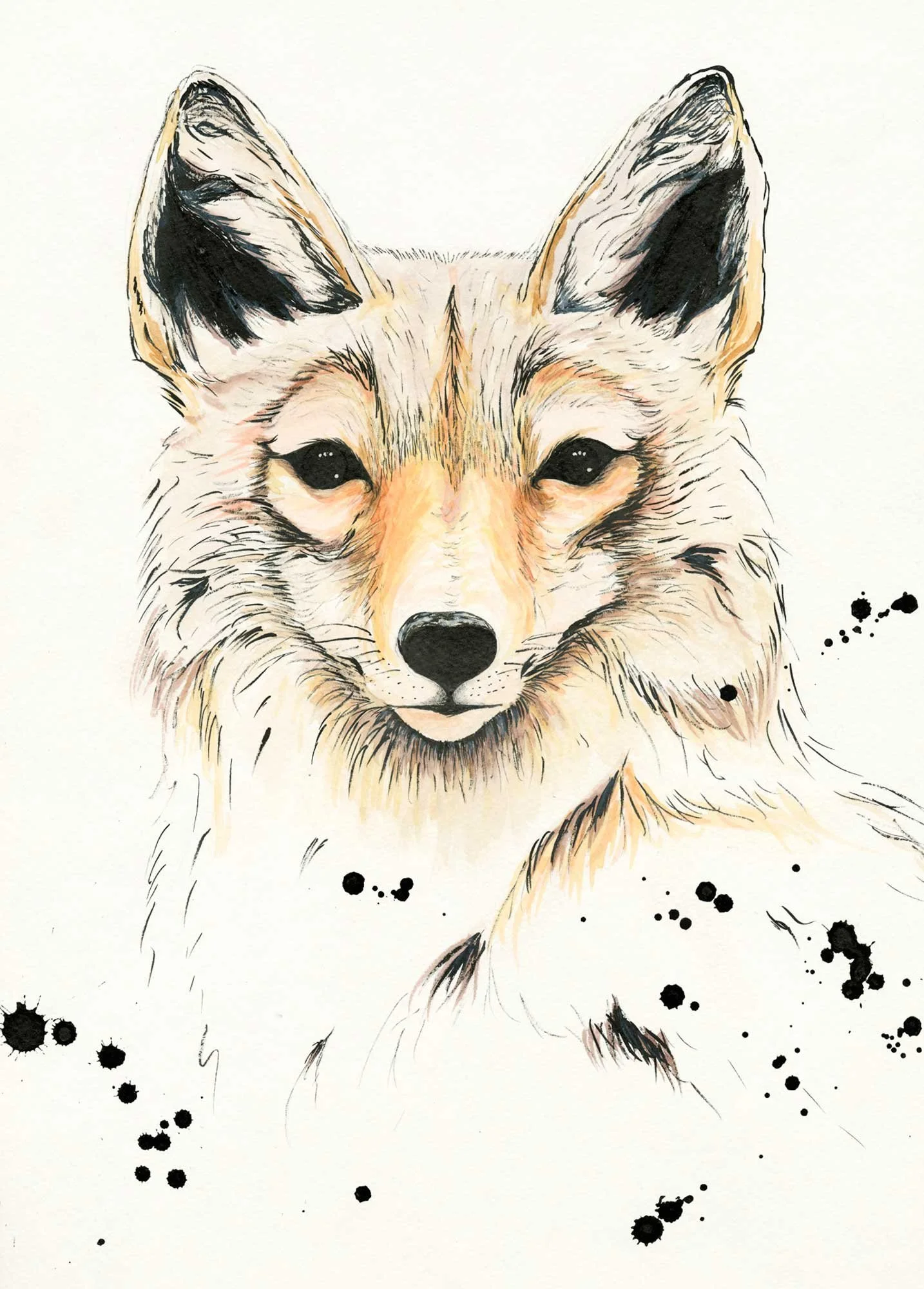 India ink and watercolor 11x17